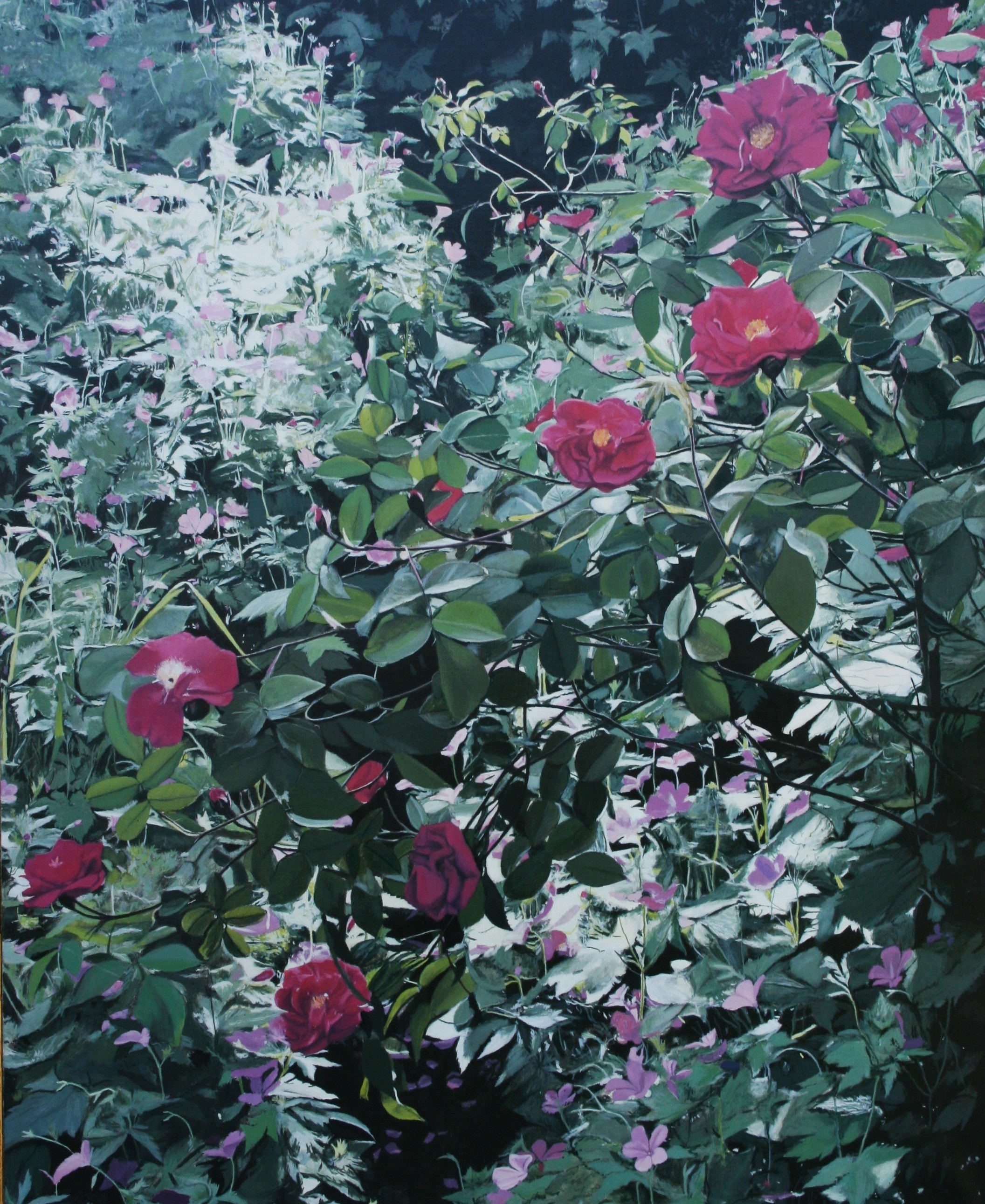 Olivier Daumas, Roses sauvages Olivier Daumas, Roses sauvages