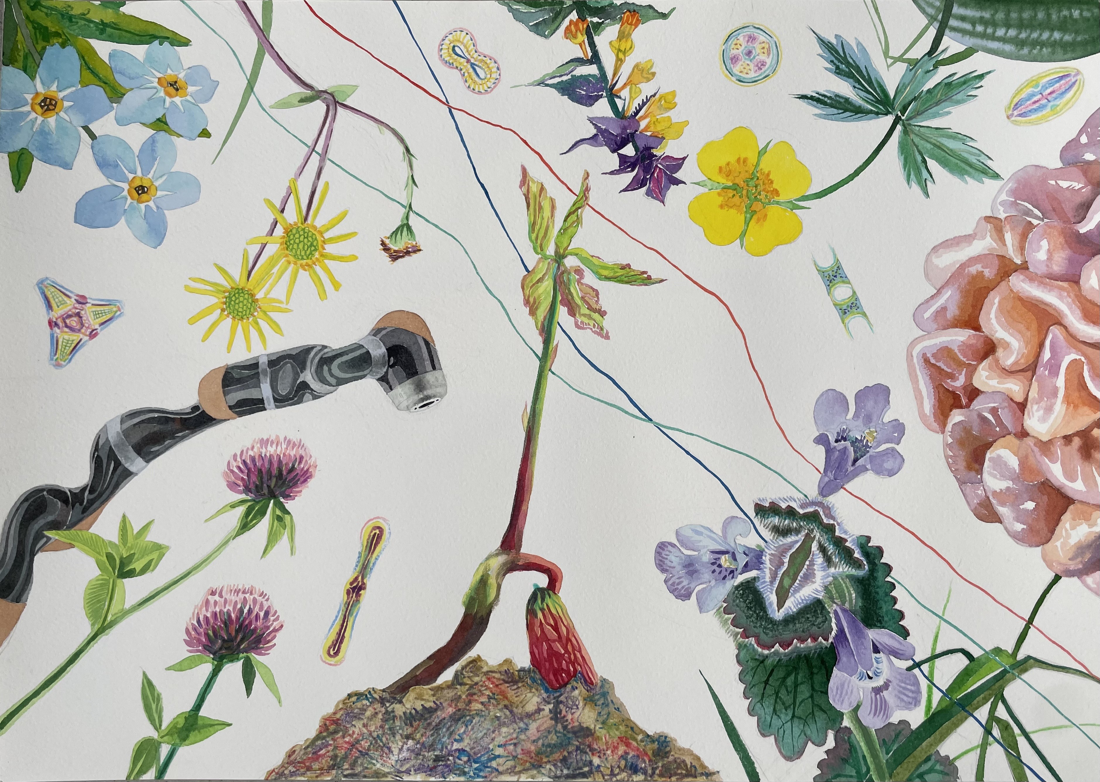 Taisia Korotkova, Imagined destinations, Oak sprout ( Pousse de chêne ) Taisia Korotkova, Imagined destinations, Oak sprout ( Pousse de chêne )