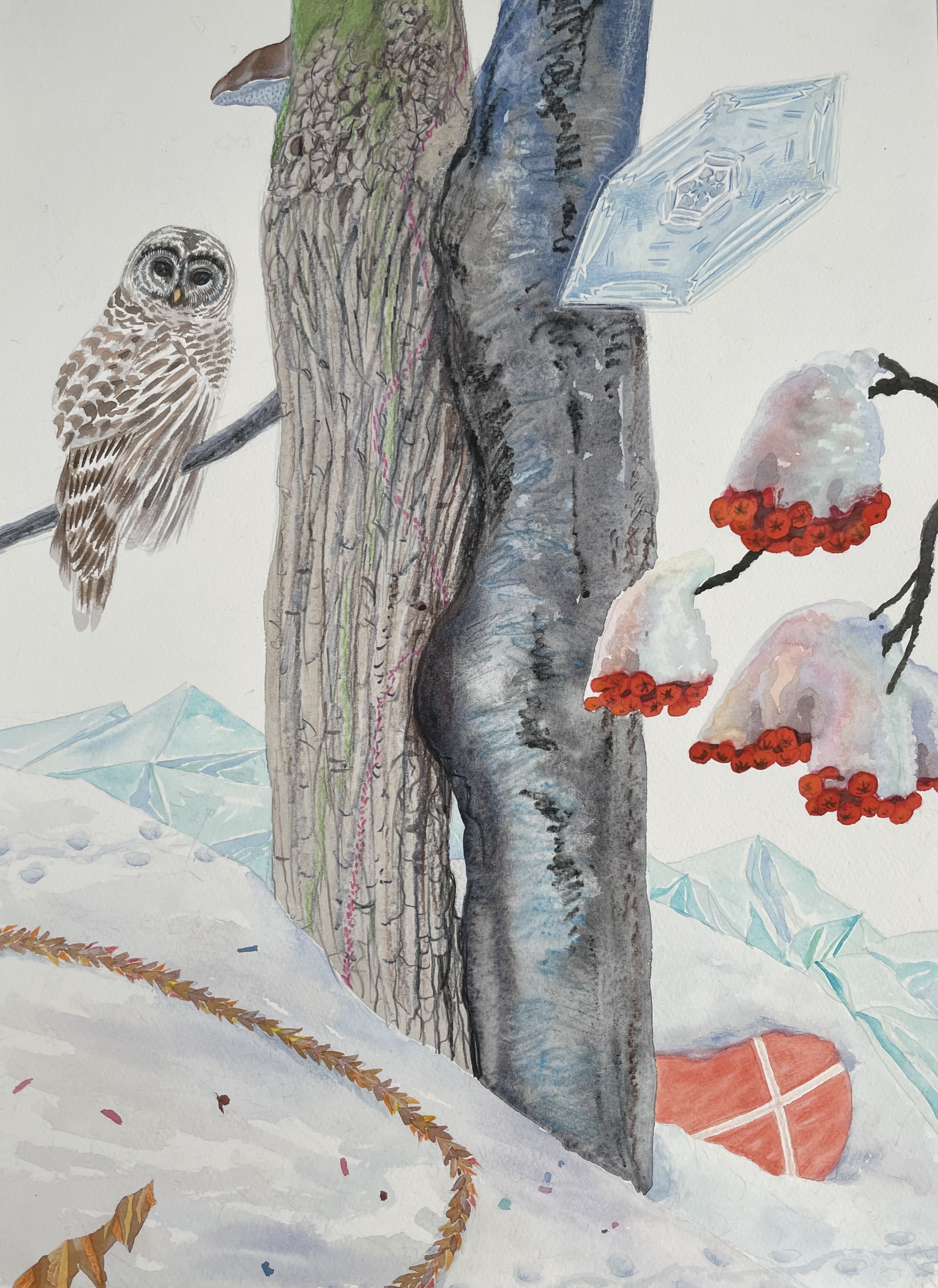 Taisia Korotkova, Imagined destinations, Winter (L'hiver) Taisia Korotkova, Imagined destinations, Winter (L'hiver)