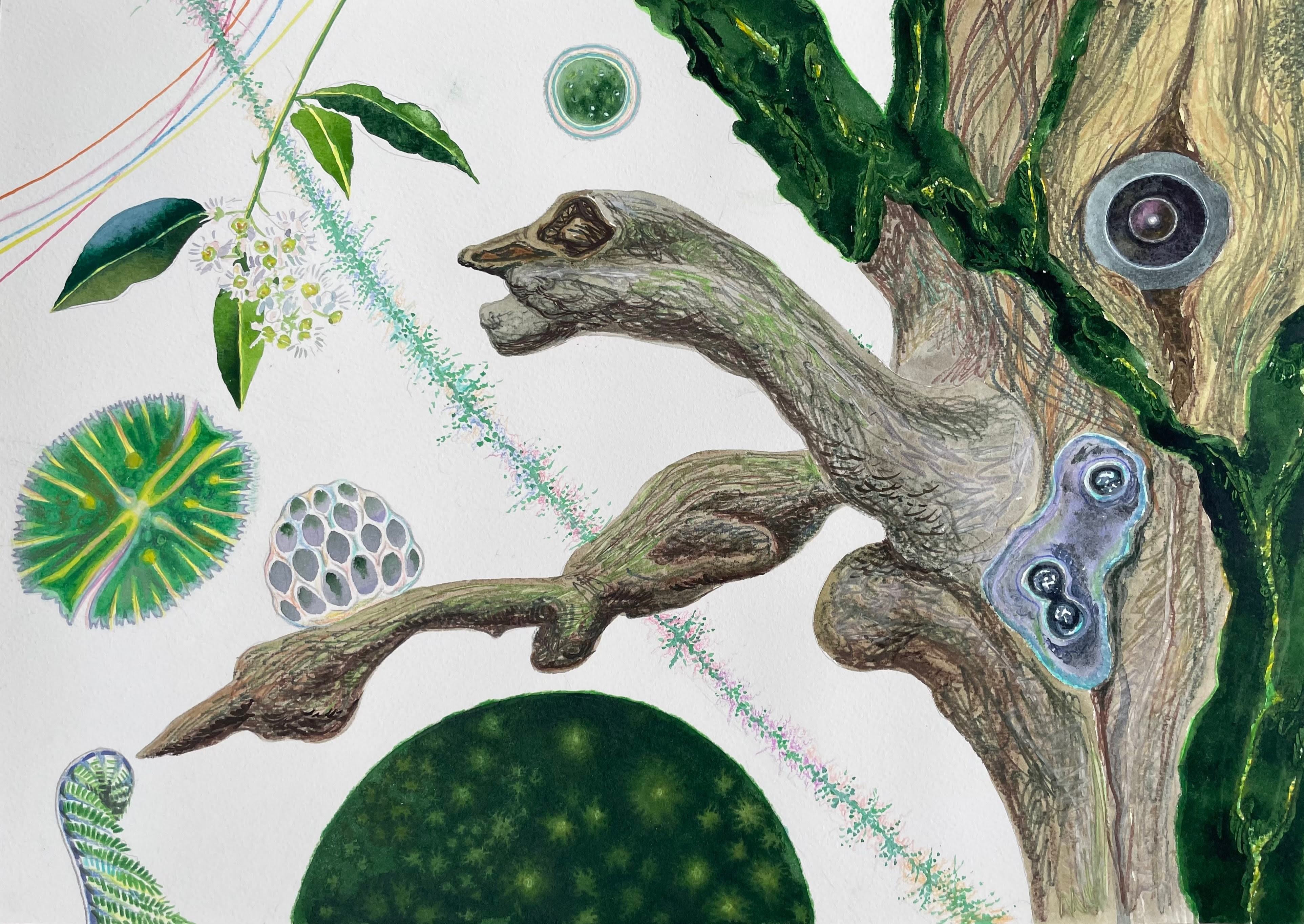 Taisia Korotkova, Imagined destinations, Gargoyle tree ( Arbre à gargouilles ) Taisia Korotkova, Imagined destinations, Gargoyle tree ( Arbre à gargouilles )