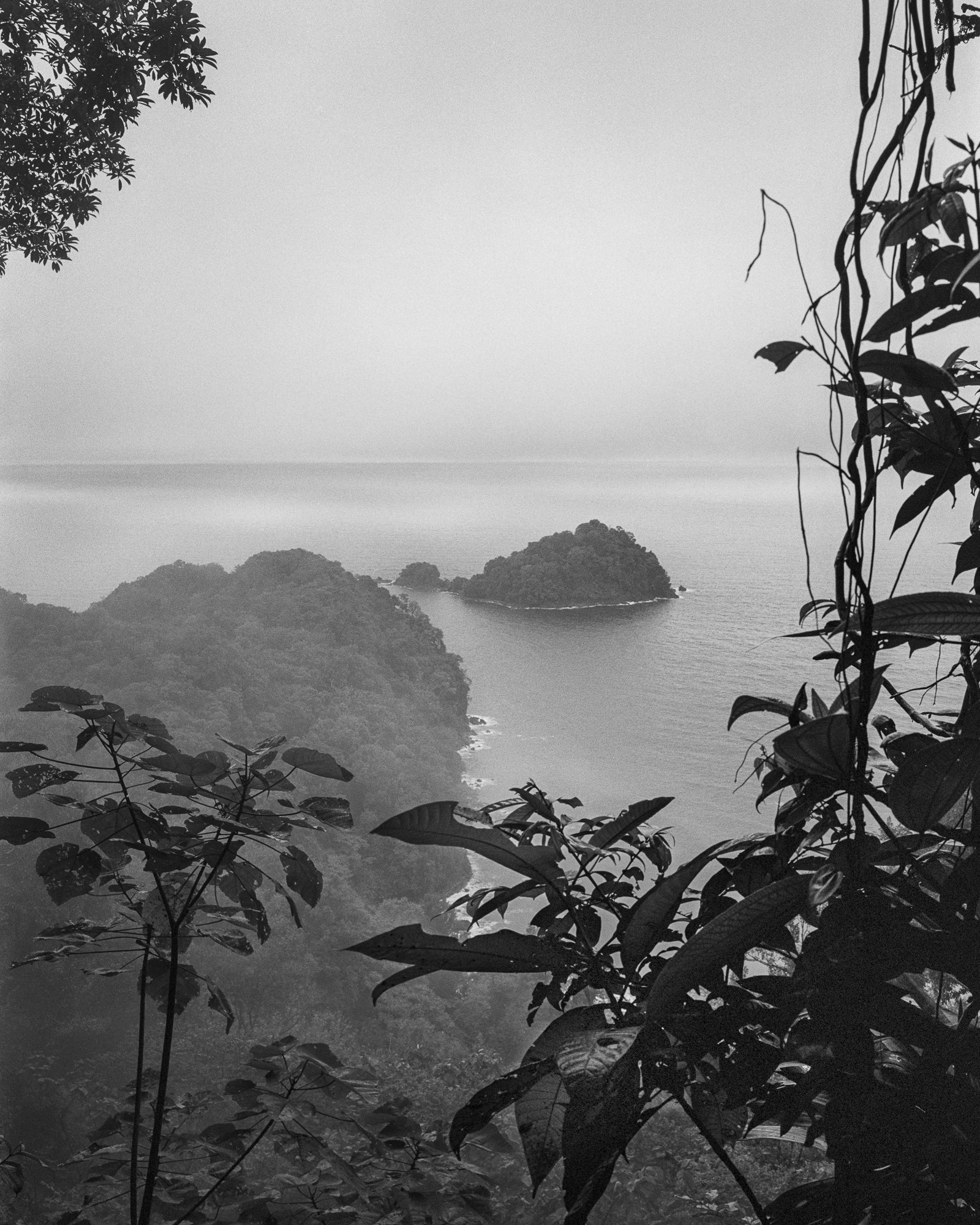 Miguel Winograd, Bosque Húmedo Tropical III Nuqui. Pigment Prints Miguel Winograd, Bosque Húmedo Tropical III Nuqui. Pigment Prints