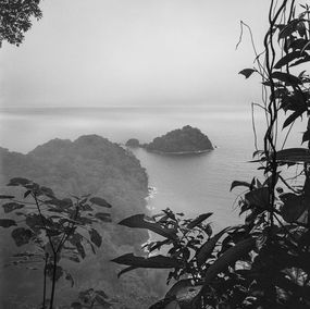 Photographie, Bosque Húmedo Tropical III Nuqui. Pigment Prints, Miguel Winograd