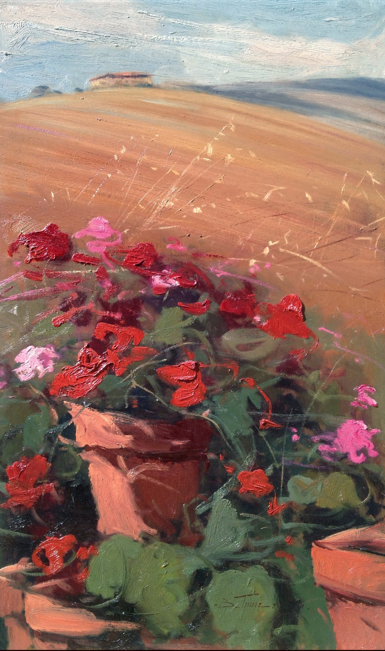 Bruno Tinucci, Flowers under the hill - Tuscany landscape painting Bruno Tinucci, Flowers under the hill - Tuscany landscape painting