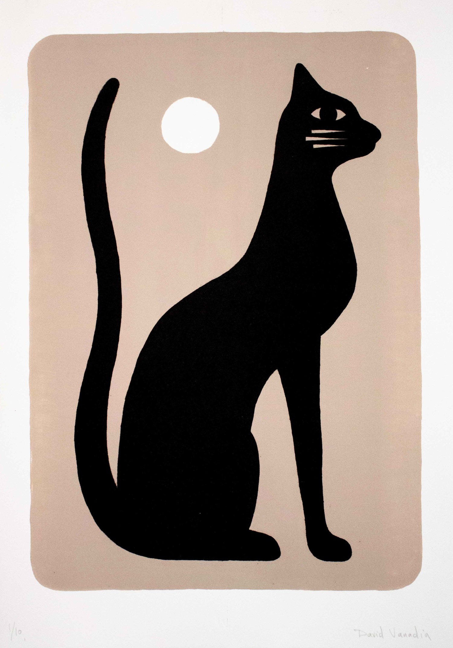 David Vanadia, Chat noir David Vanadia, Chat noir