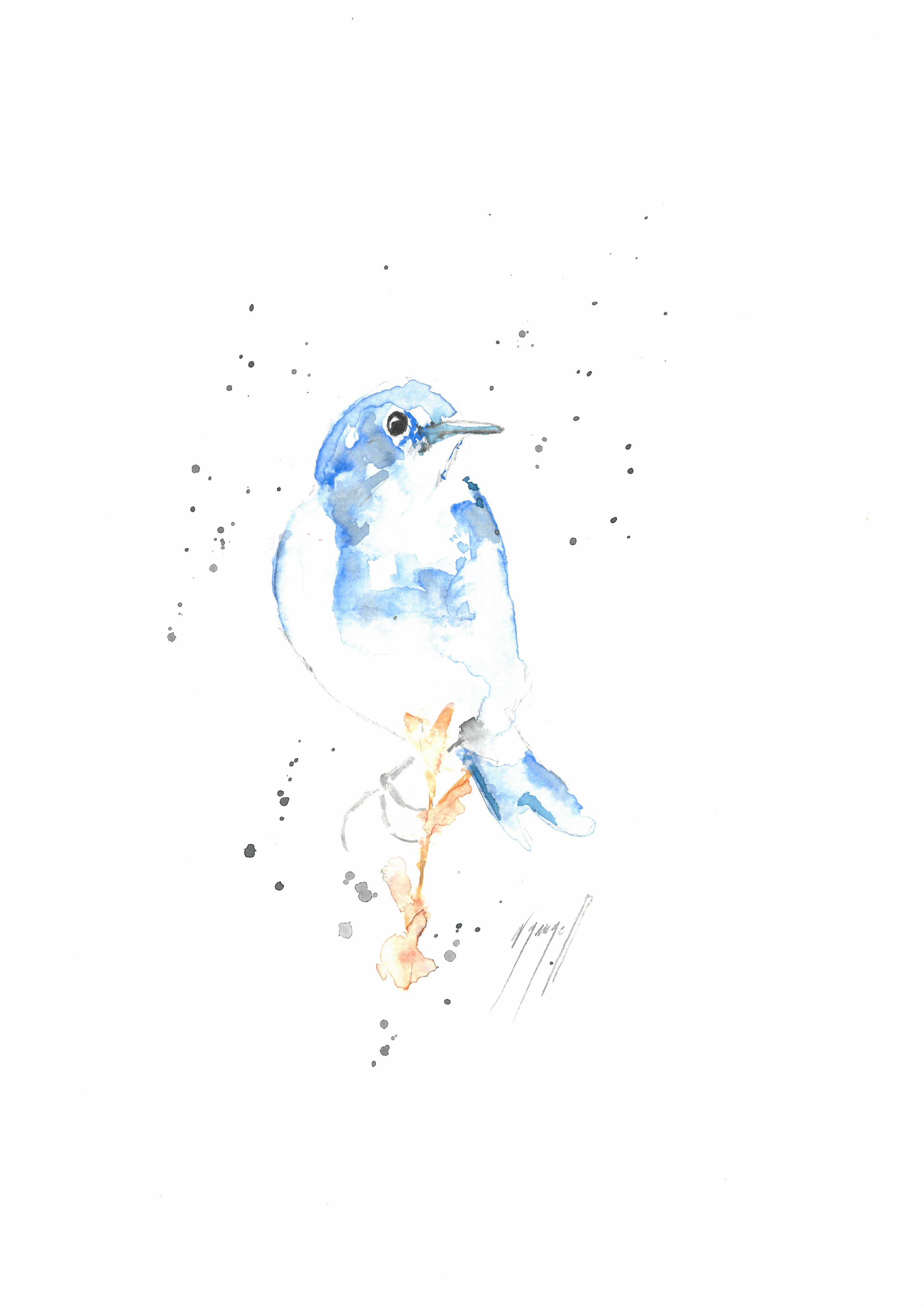 Noël Granger, Notre Joli Pioupiou bleu ! Noël Granger, Notre Joli Pioupiou bleu !