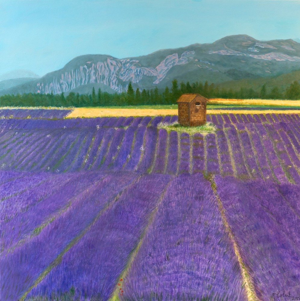Myriam Colart, Champs de lavande en Provence - Paysage Myriam Colart, Champs de lavande en Provence - Paysage