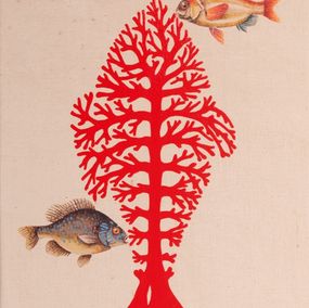 Peix corall, Jordi Sàbat