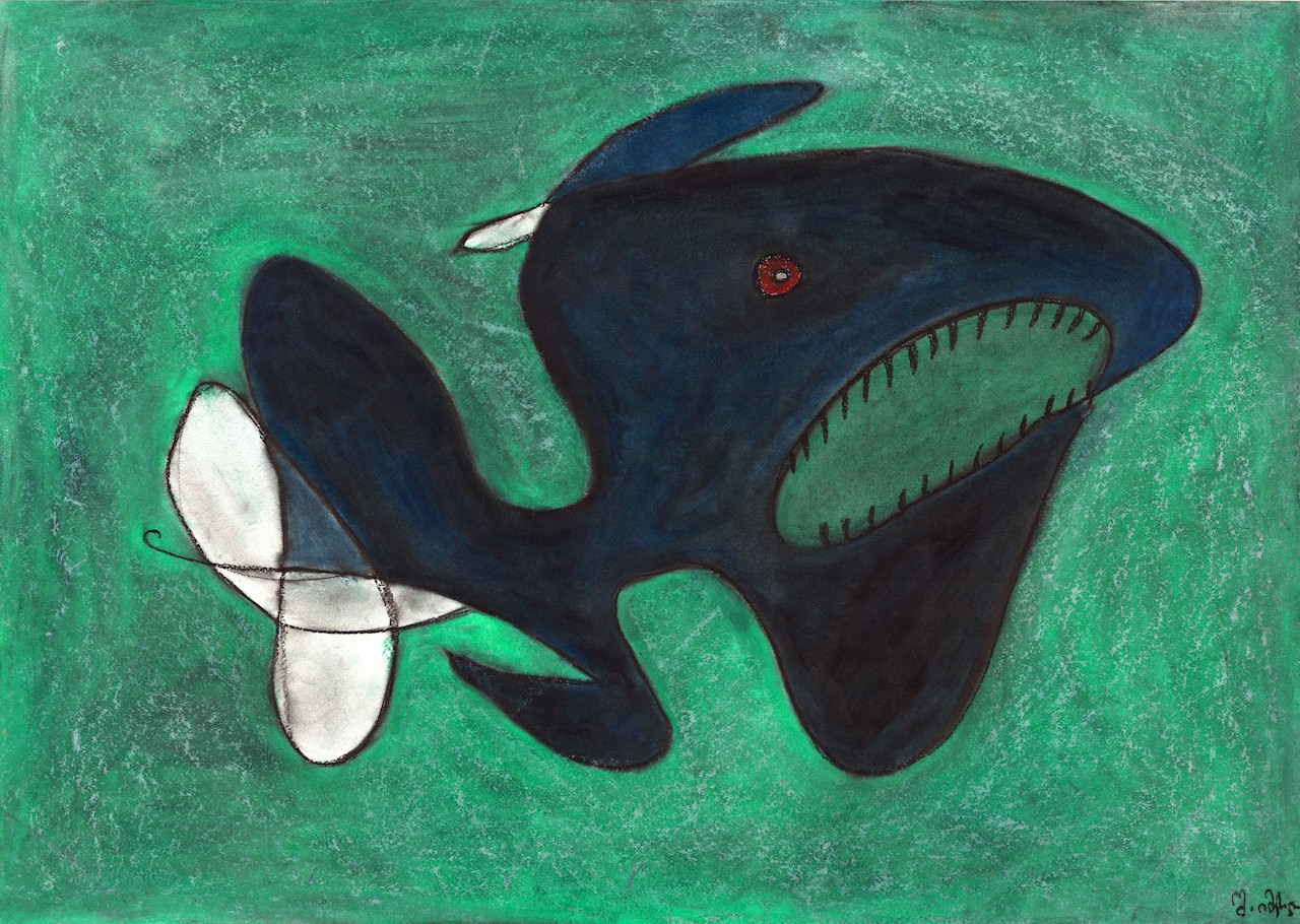 Shota Imerlishvili, Shark Shota Imerlishvili, Shark