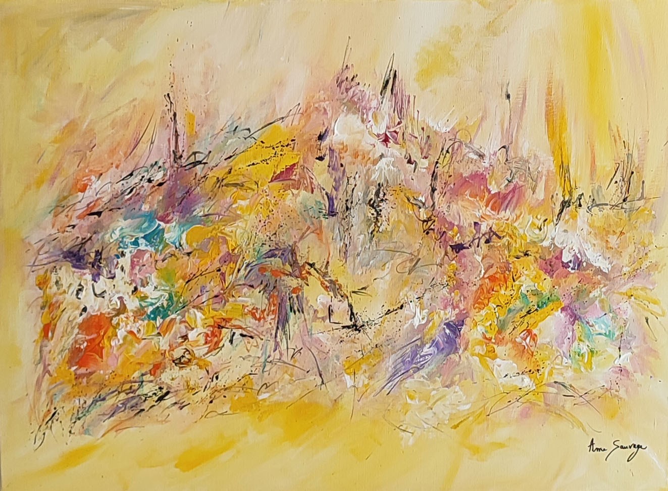 Âme Sauvage, Couleurs et lumières Âme Sauvage, Couleurs et lumières