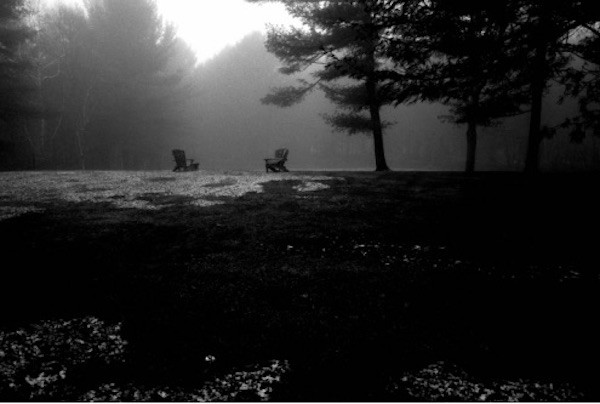 Norman Reedus, Upstate Norman Reedus, Upstate