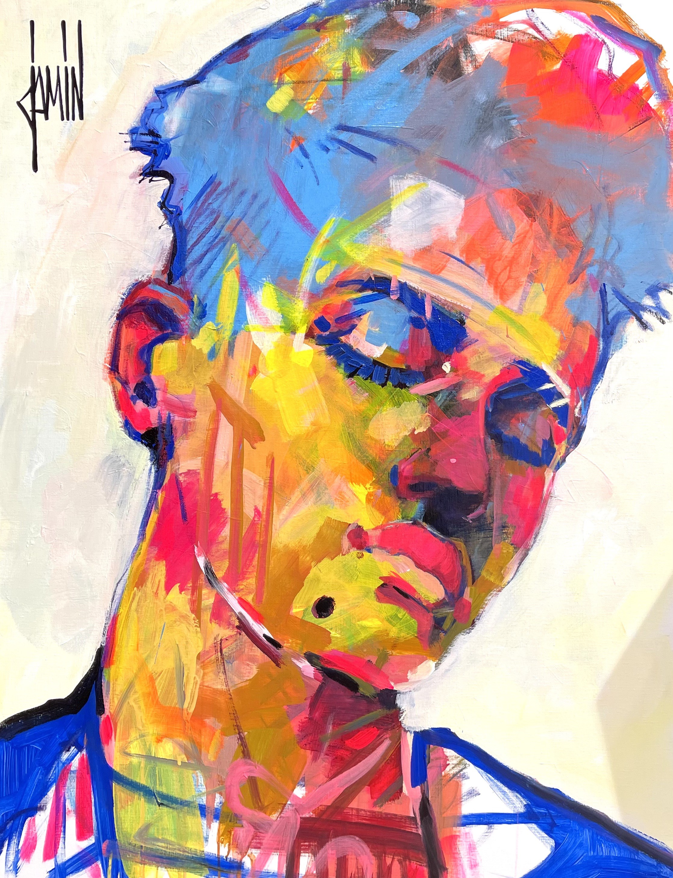David Jamin, Variations sur l'introportrait David Jamin, Variations sur l'introportrait