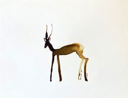 Fine Art Drawings, Timothy the impala, Gabrielle Pool