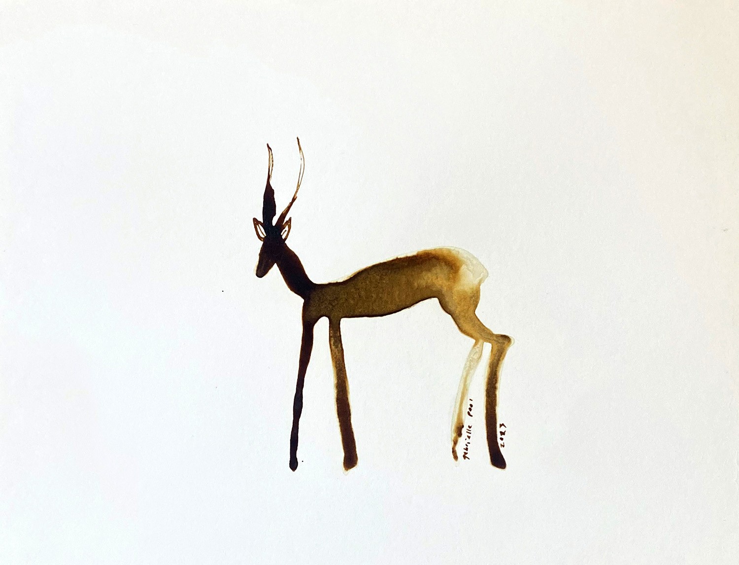 Gabrielle Pool, Timothy the impala Gabrielle Pool, Timothy the impala
