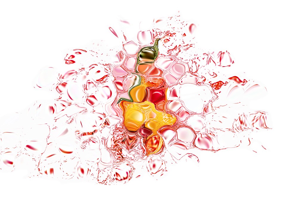 Denis Morel, Citrus_Fruits - série Liquide abstrait Denis Morel, Citrus_Fruits - série Liquide abstrait