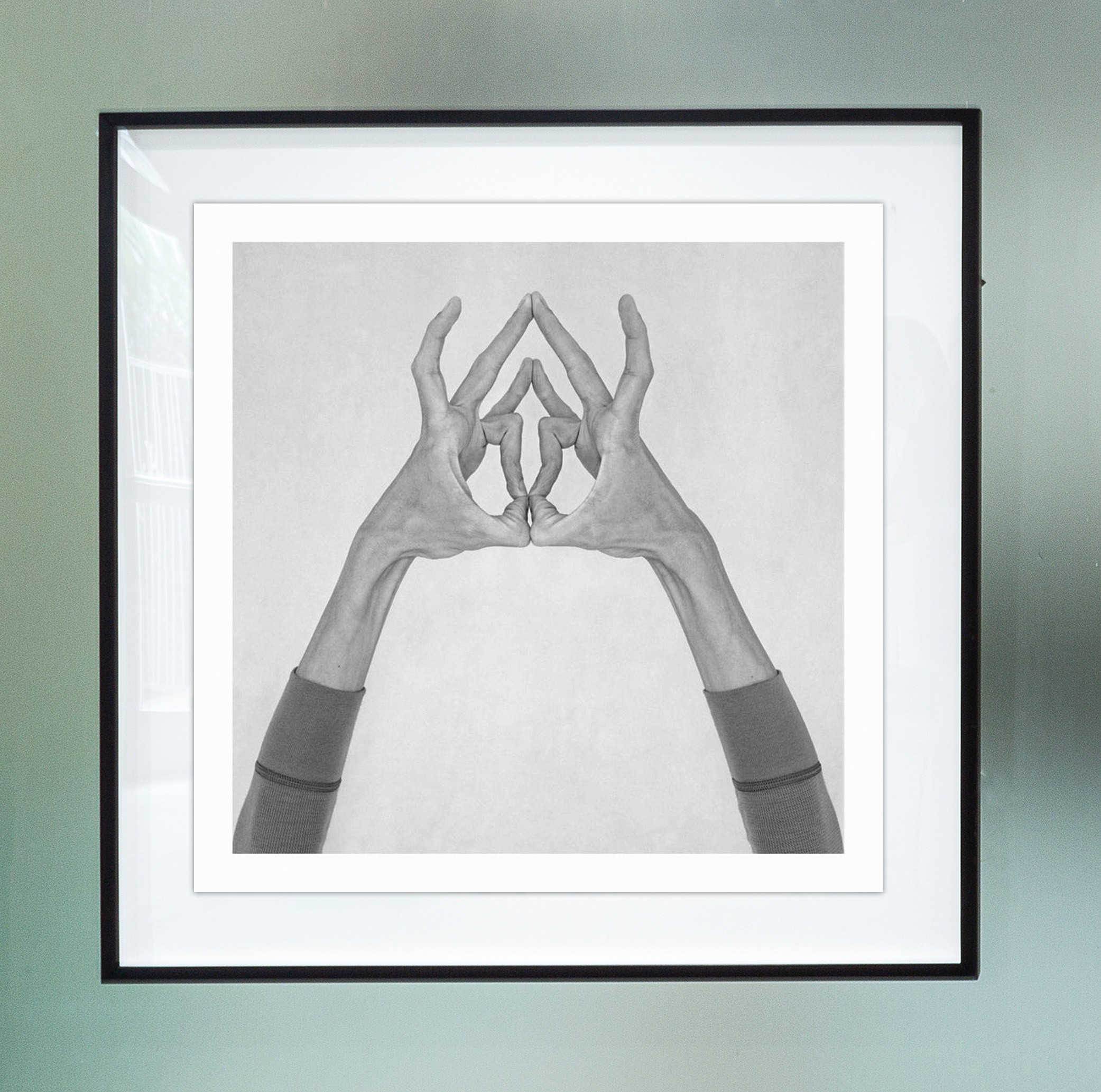 Nico Baixas / Gos-com-fuig, Untitled XIII. Framed. From the series chiromorphose Nico Baixas / Gos-com-fuig, Untitled XIII. Framed. From the series chiromorphose