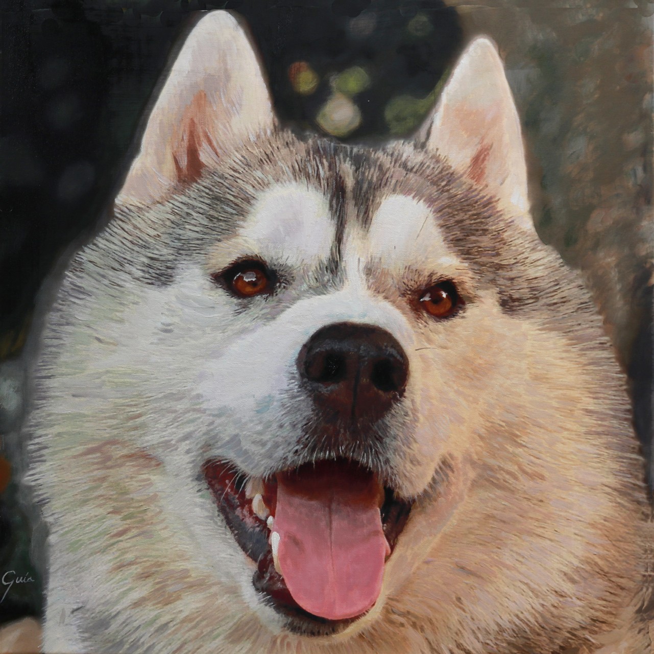 Miguel Guía, Husky Miguel Guía, Husky