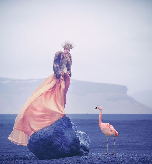 Miss Aniela
