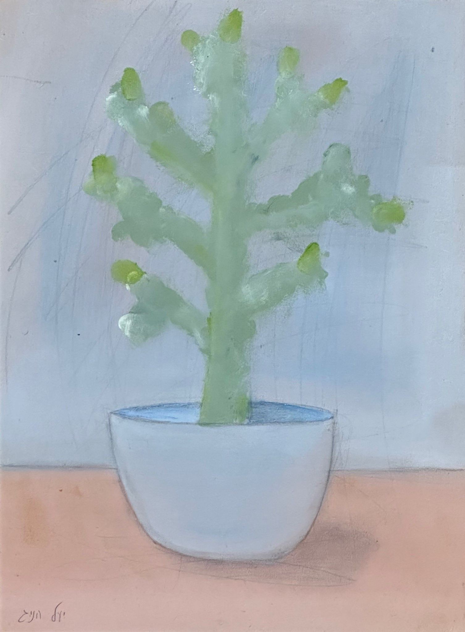 Yael Hoenig, Cactus II Yael Hoenig, Cactus II