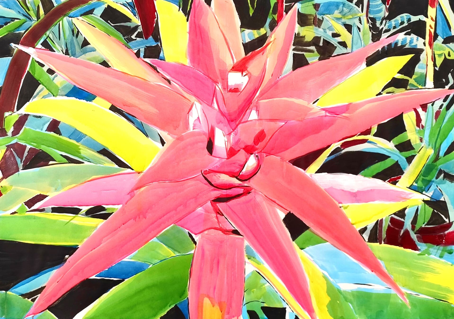 Manuel Perez, Bromelia Manuel Perez, Bromelia
