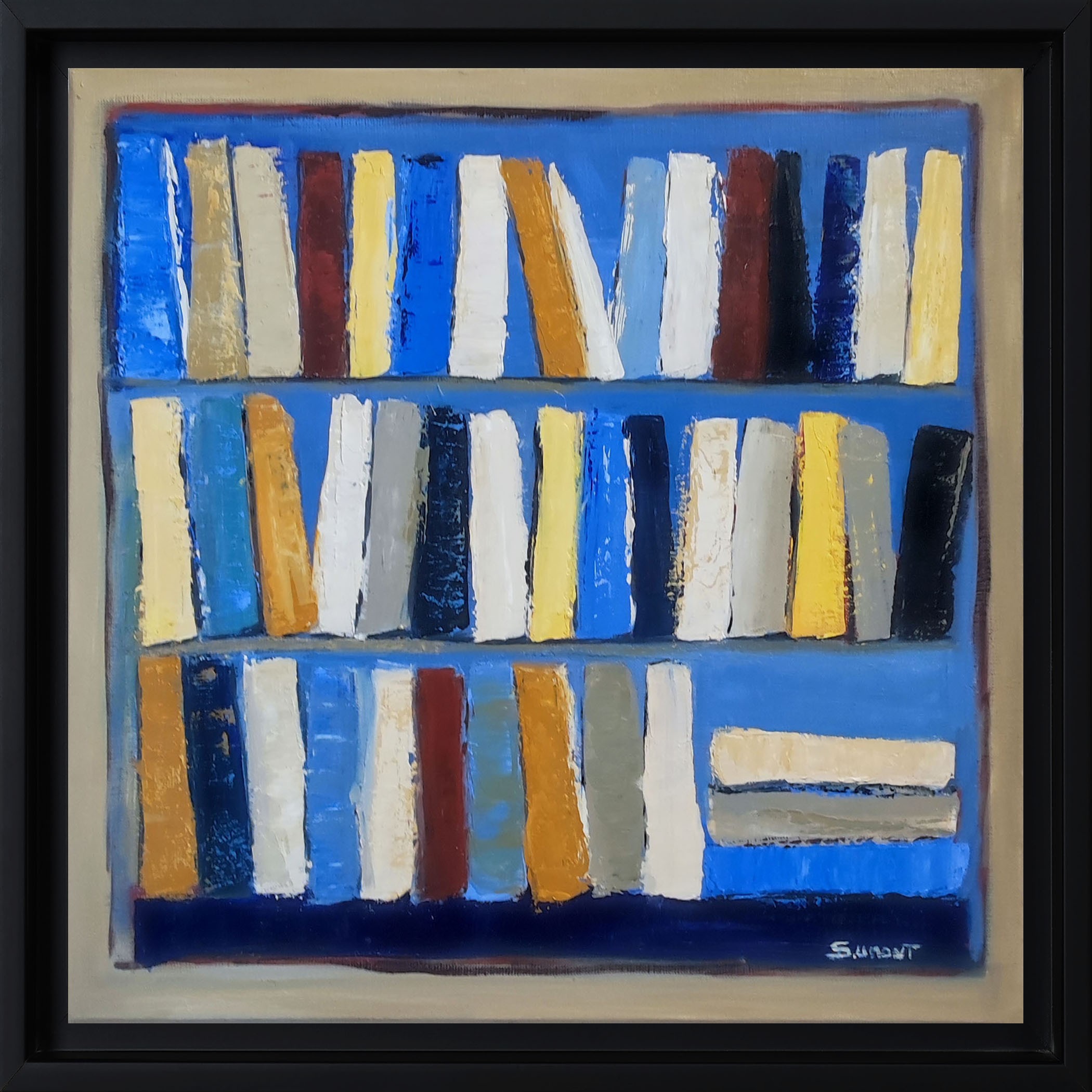 Sophie Dumont, Blue library Sophie Dumont, Blue library