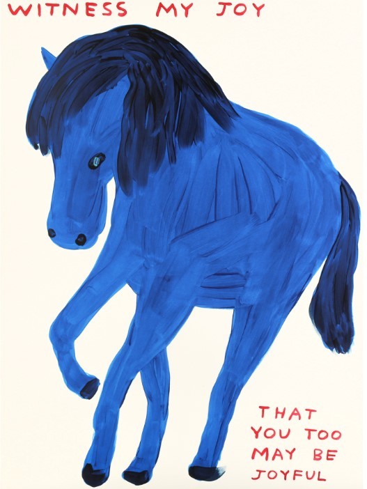 David Shrigley, Witness my Joy David Shrigley, Witness my Joy