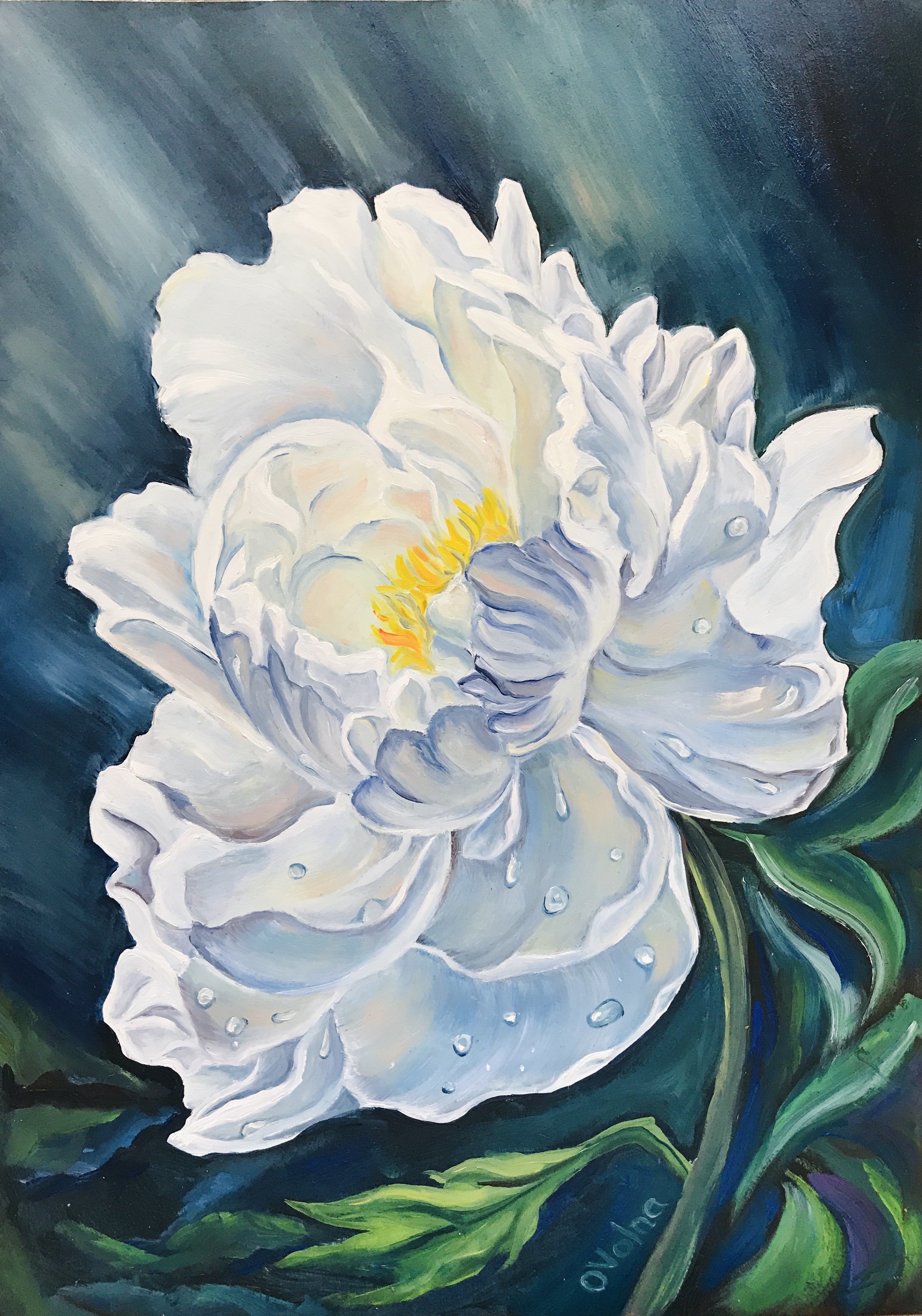 Olga Volna, Dew on a peony Olga Volna, Dew on a peony