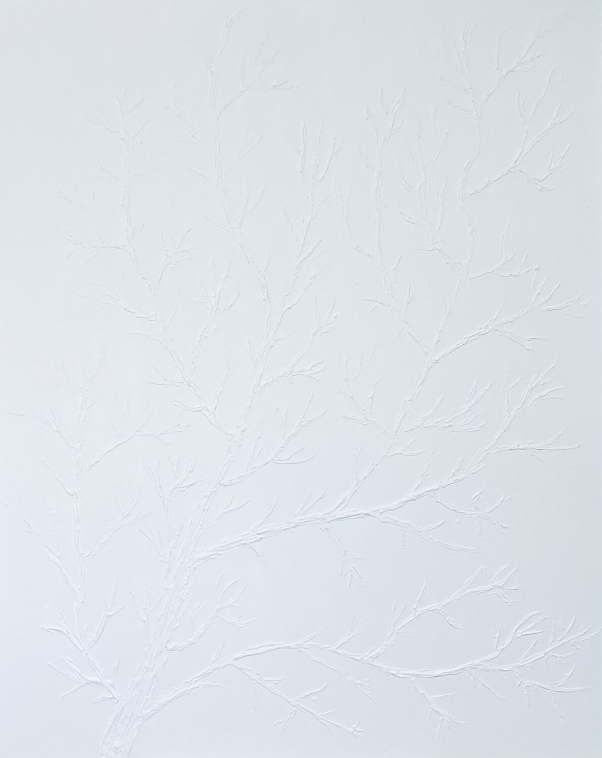 Nataliia Krykun, White tree branches Nataliia Krykun, White tree branches