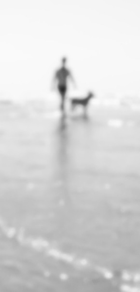 Denis Morel, Avec mon chien Denis Morel, Avec mon chien