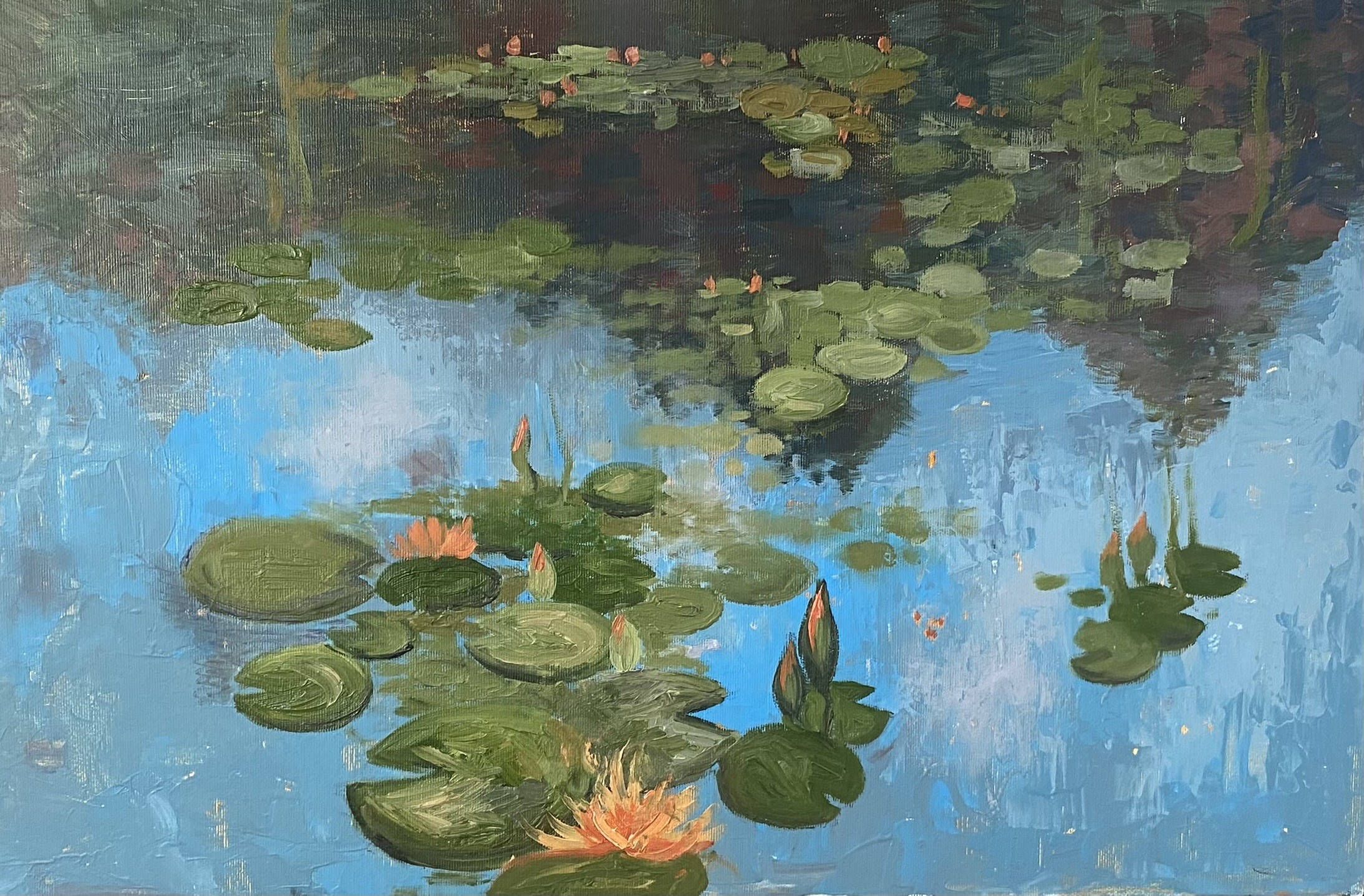 Dasha Pogodina, Water lily garden Dasha Pogodina, Water lily garden