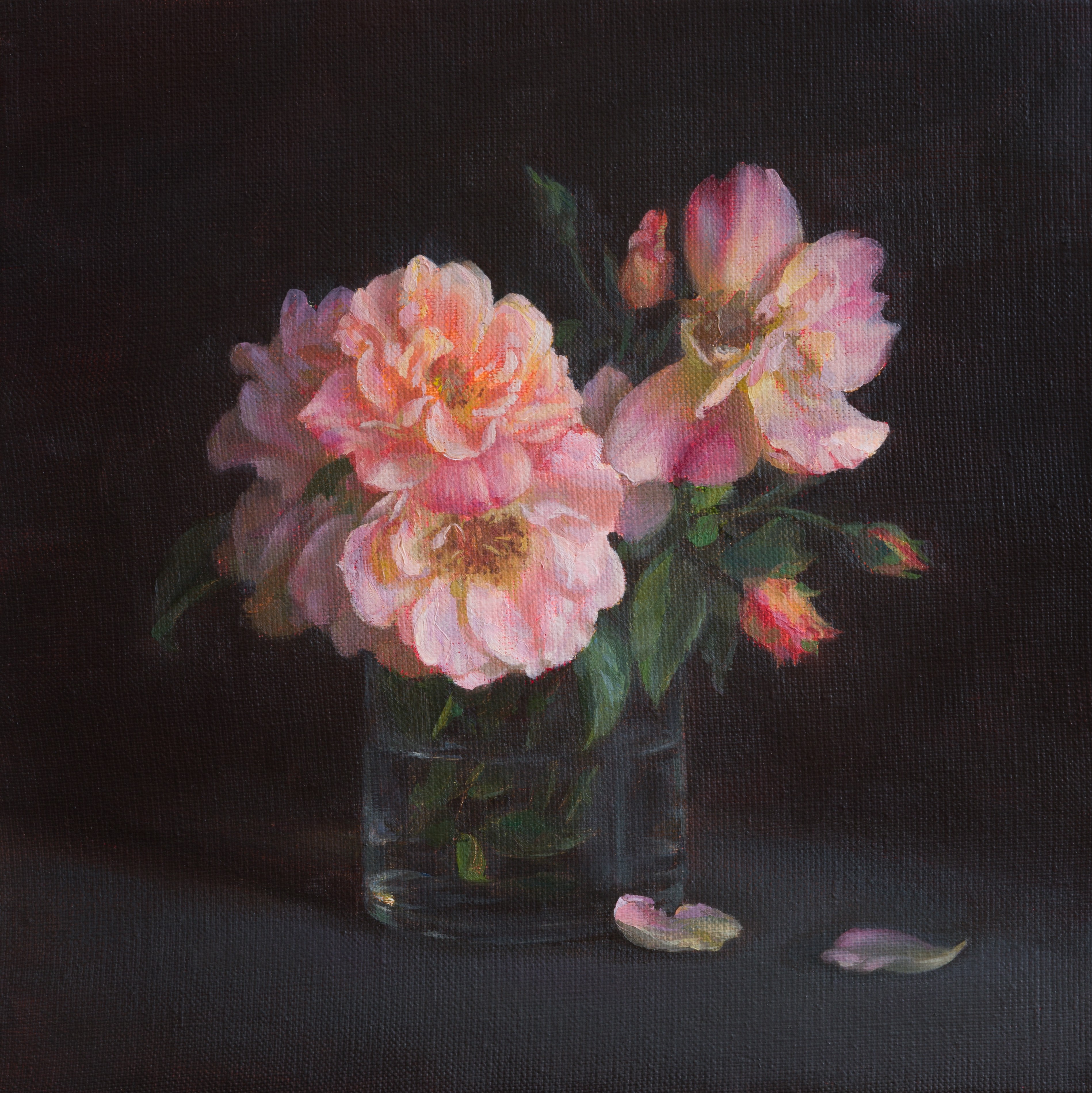Irina Trushkova, Roses Irina Trushkova, Roses