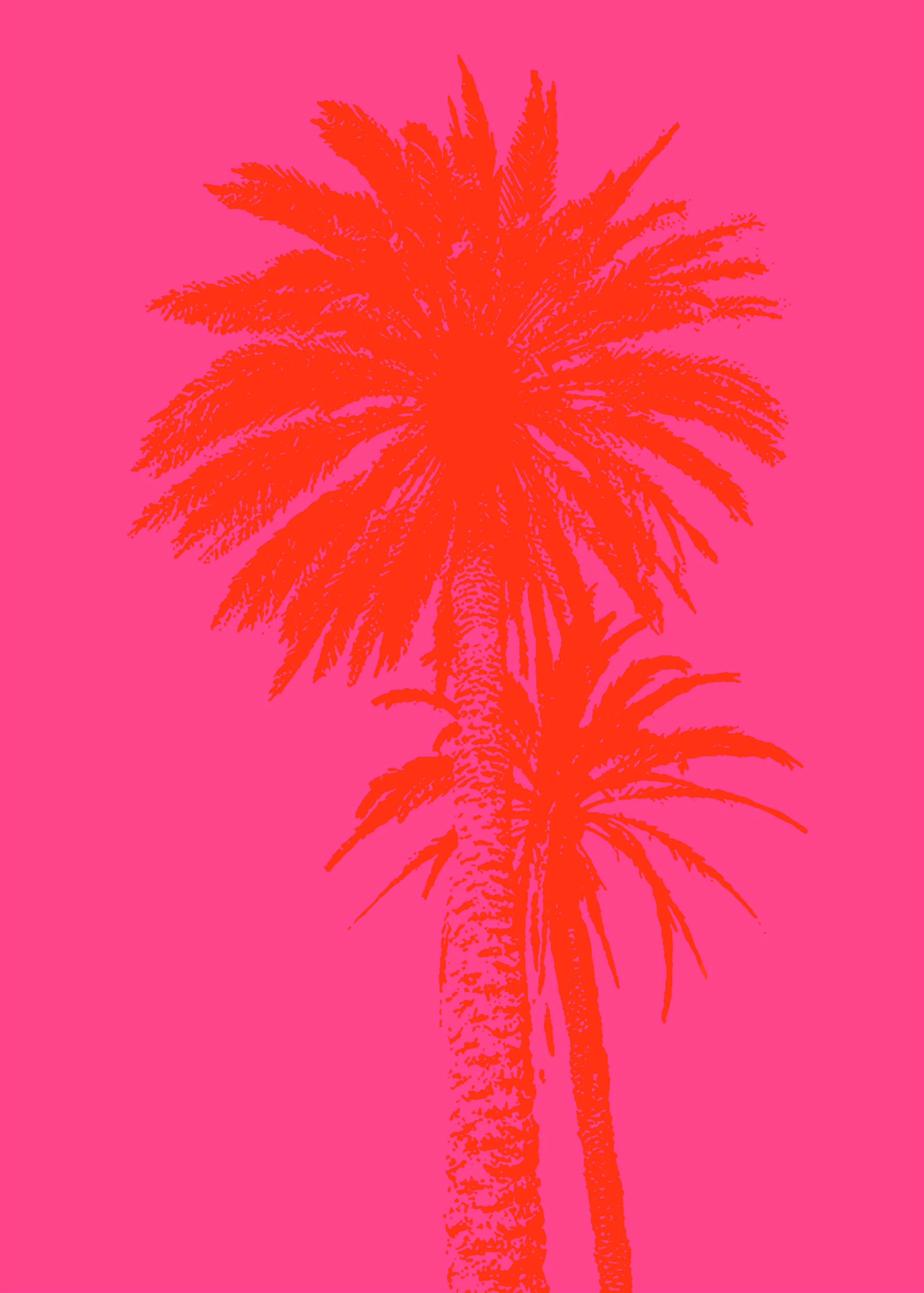 Kosta Morr, Palm tree_1 Kosta Morr, Palm tree_1