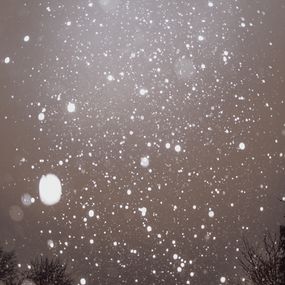 Photography, Golden Storm, Justin Pumfrey
