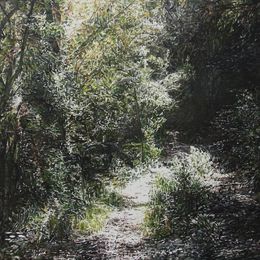 Forest V, Ramón Surinyac
