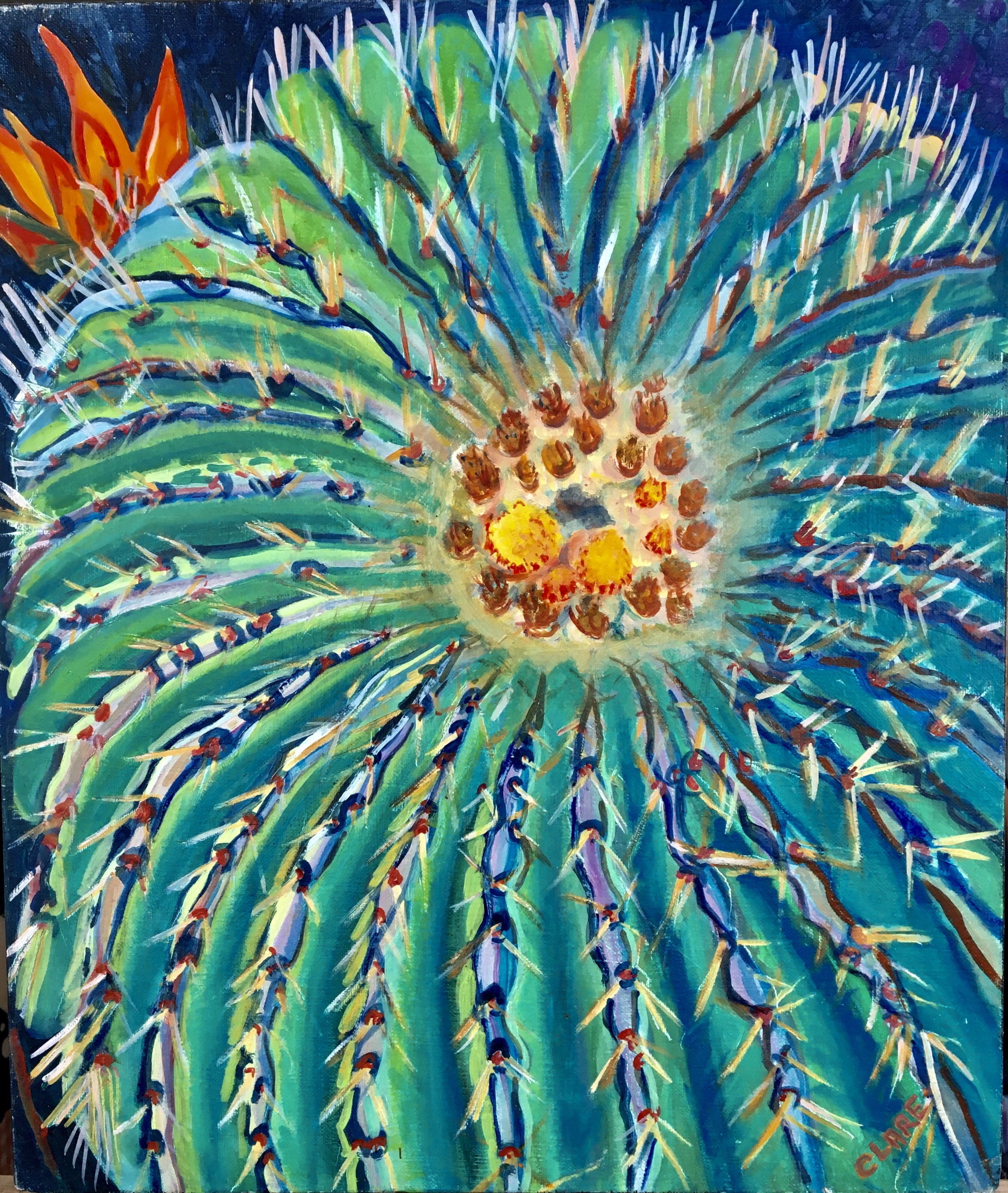 Catherine Clare, Cactus en fleurs Catherine Clare, Cactus en fleurs