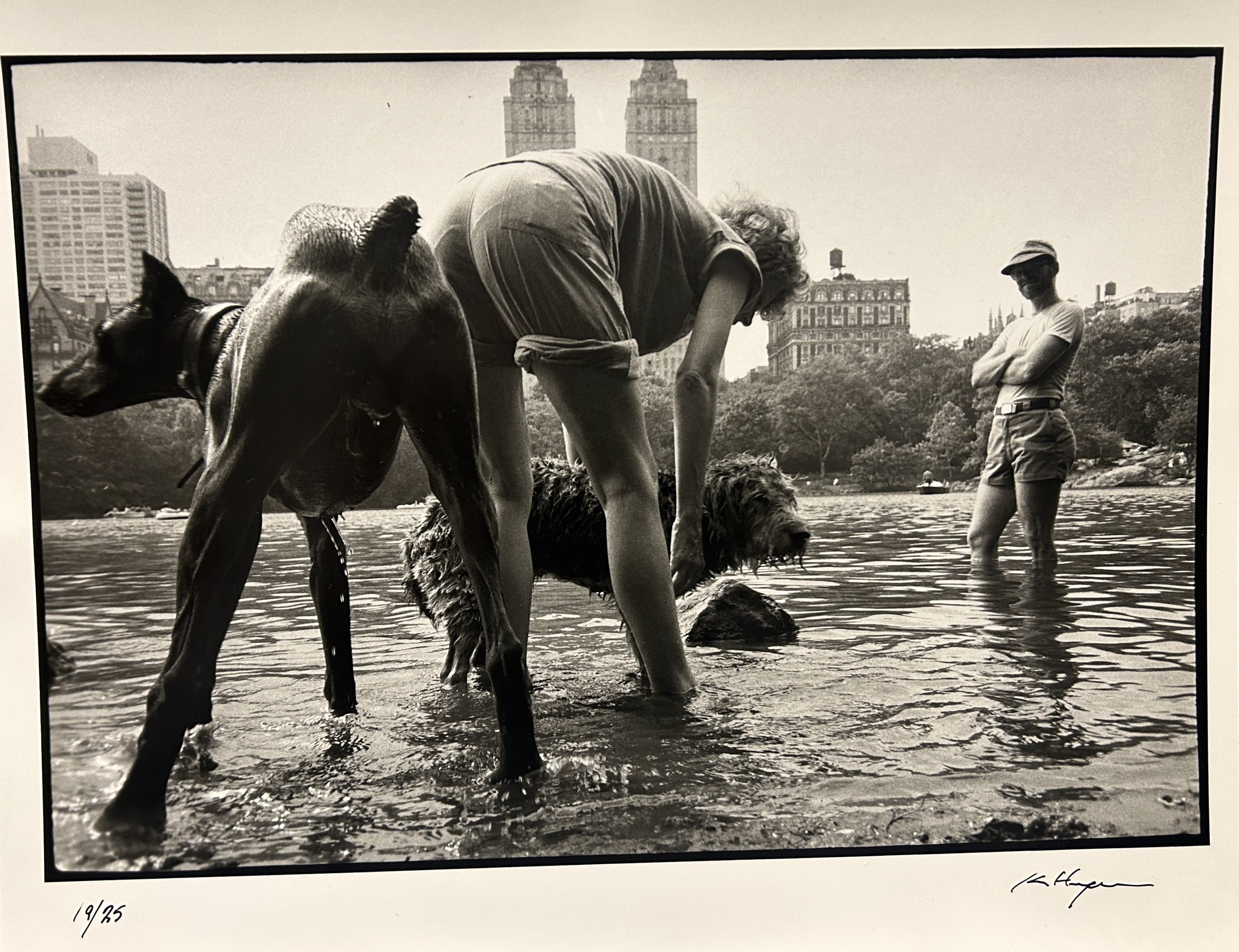 Ken Heyman, Dog Wash - Hipshot Series Ken Heyman, Dog Wash - Hipshot Series