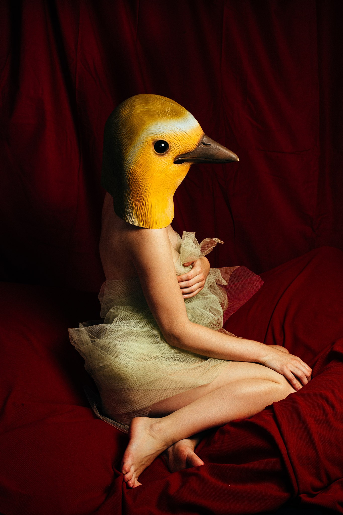 David Martin, Bird N°1 David Martin, Bird N°1