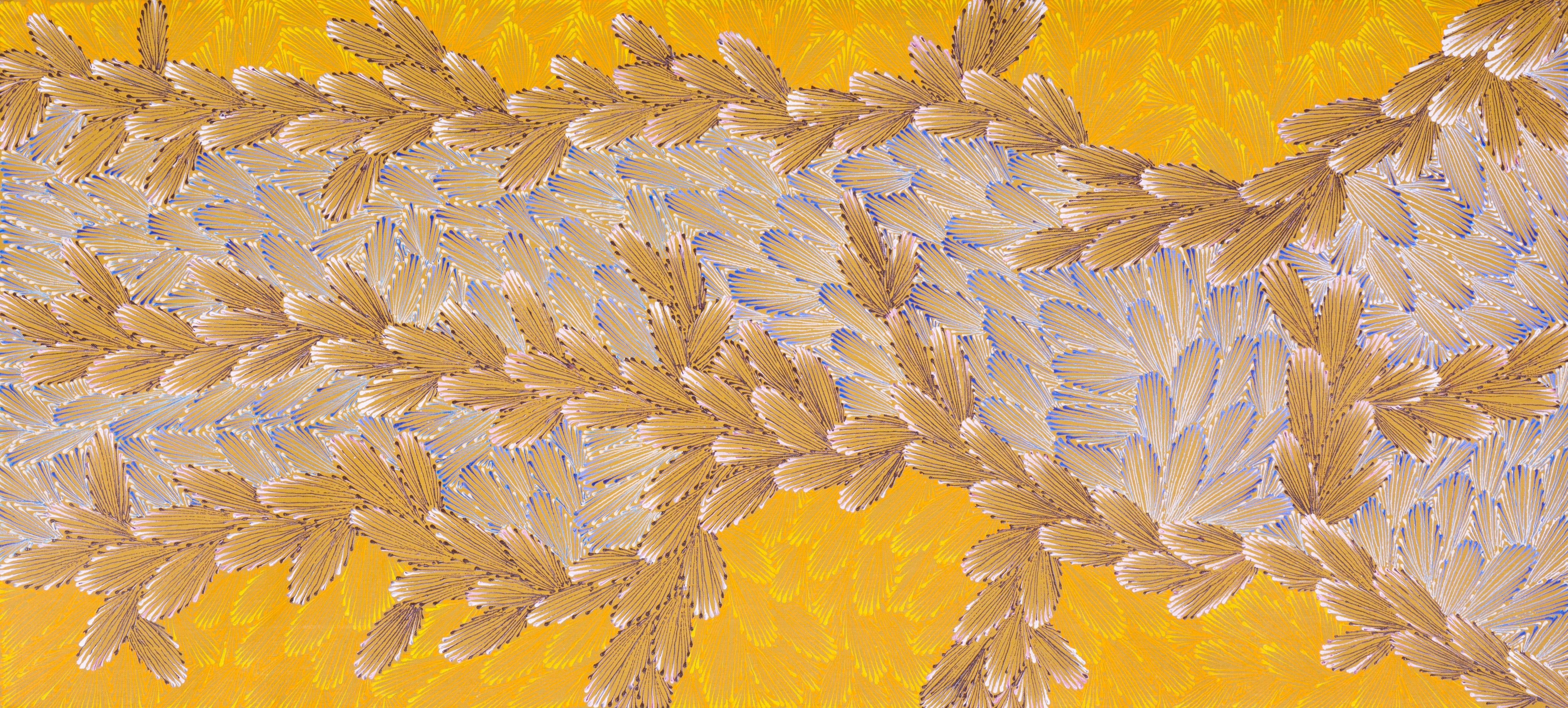 Loretta Pitjara Jones, Bush Honey Grevillea Loretta Pitjara Jones, Bush Honey Grevillea