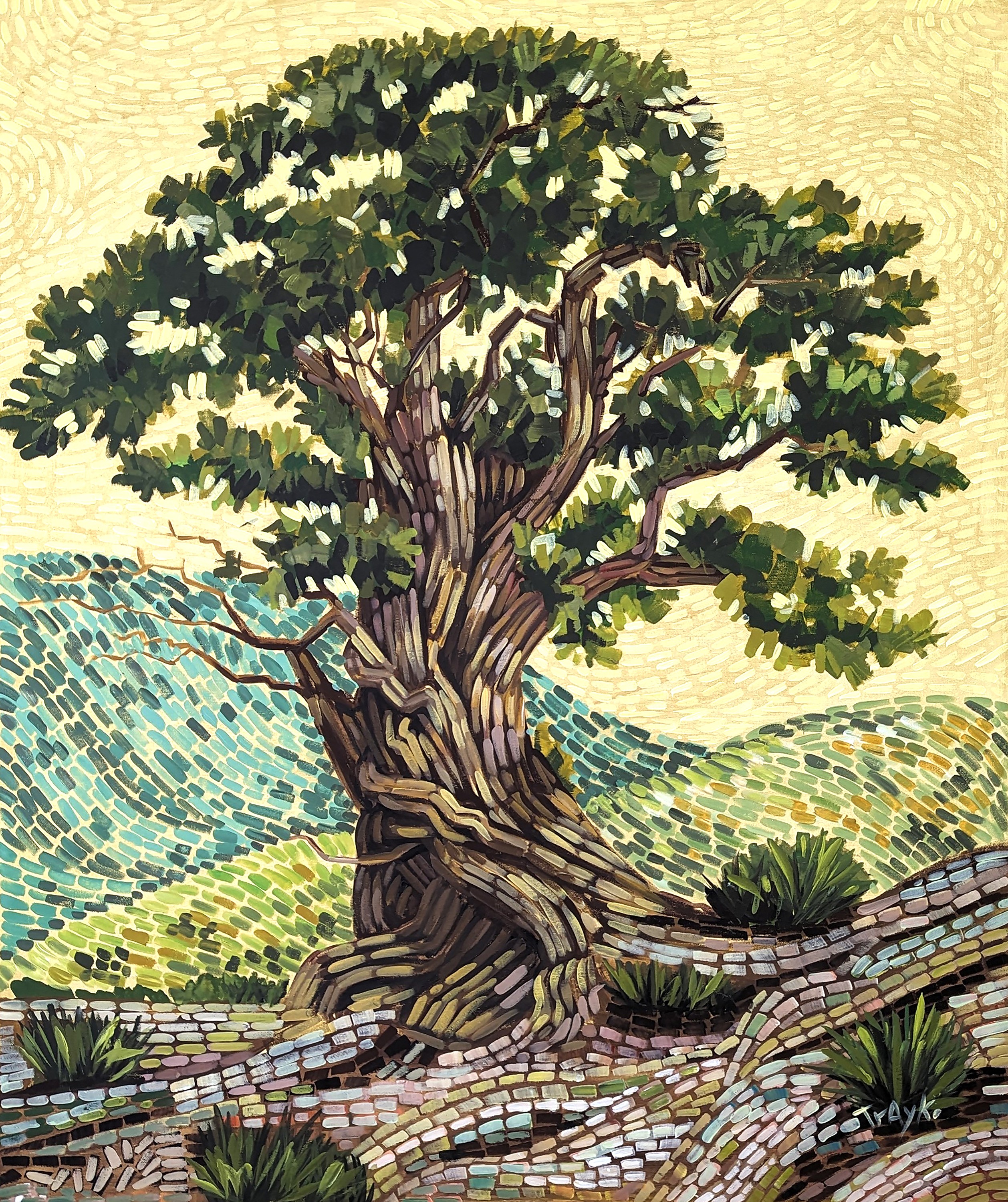 Trayko Popov, Old Tree Trayko Popov, Old Tree