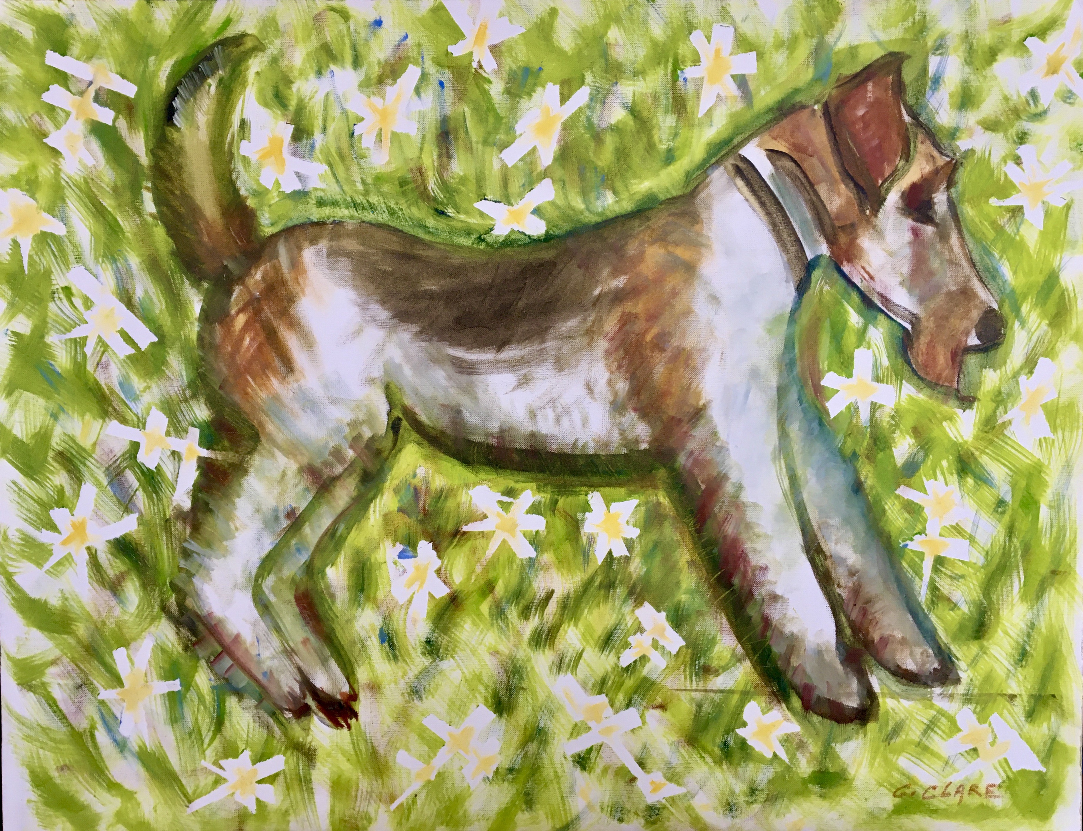 Catherine Clare, Chester fox terrier Catherine Clare, Chester fox terrier