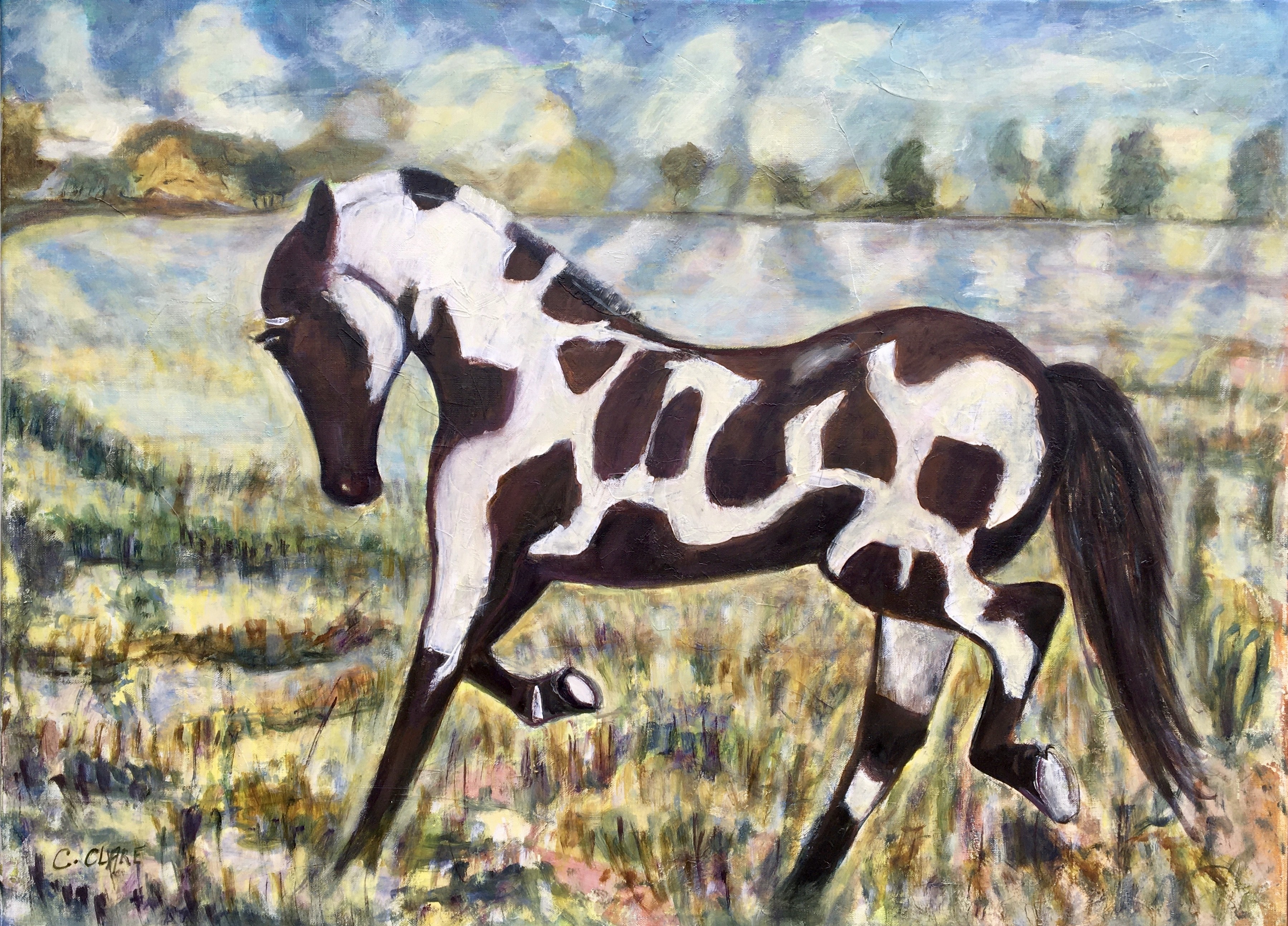 Catherine Clare, Mustang in the sky Catherine Clare, Mustang in the sky