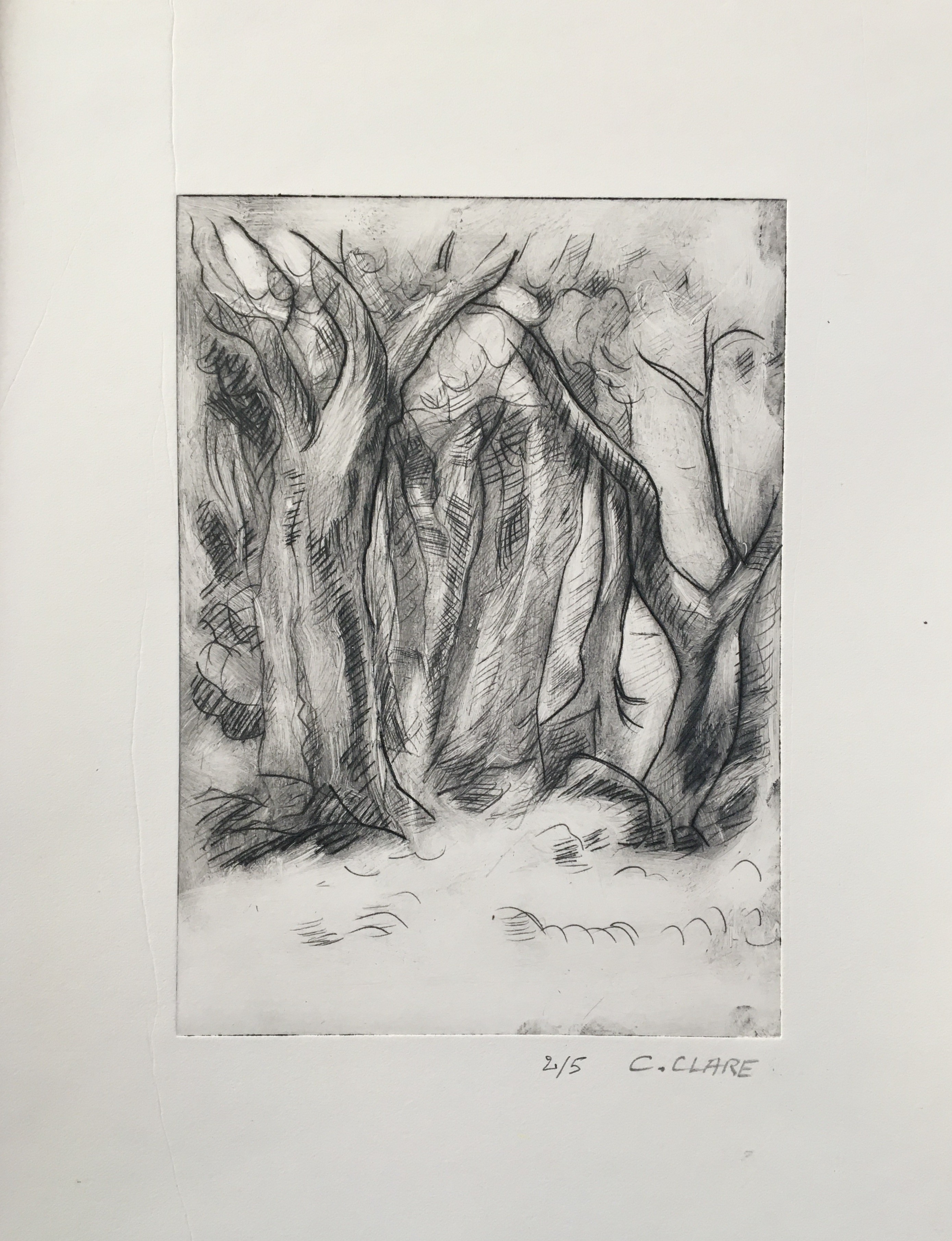Catherine Clare, Les troncs d'arbres N°2 Catherine Clare, Les troncs d'arbres N°2