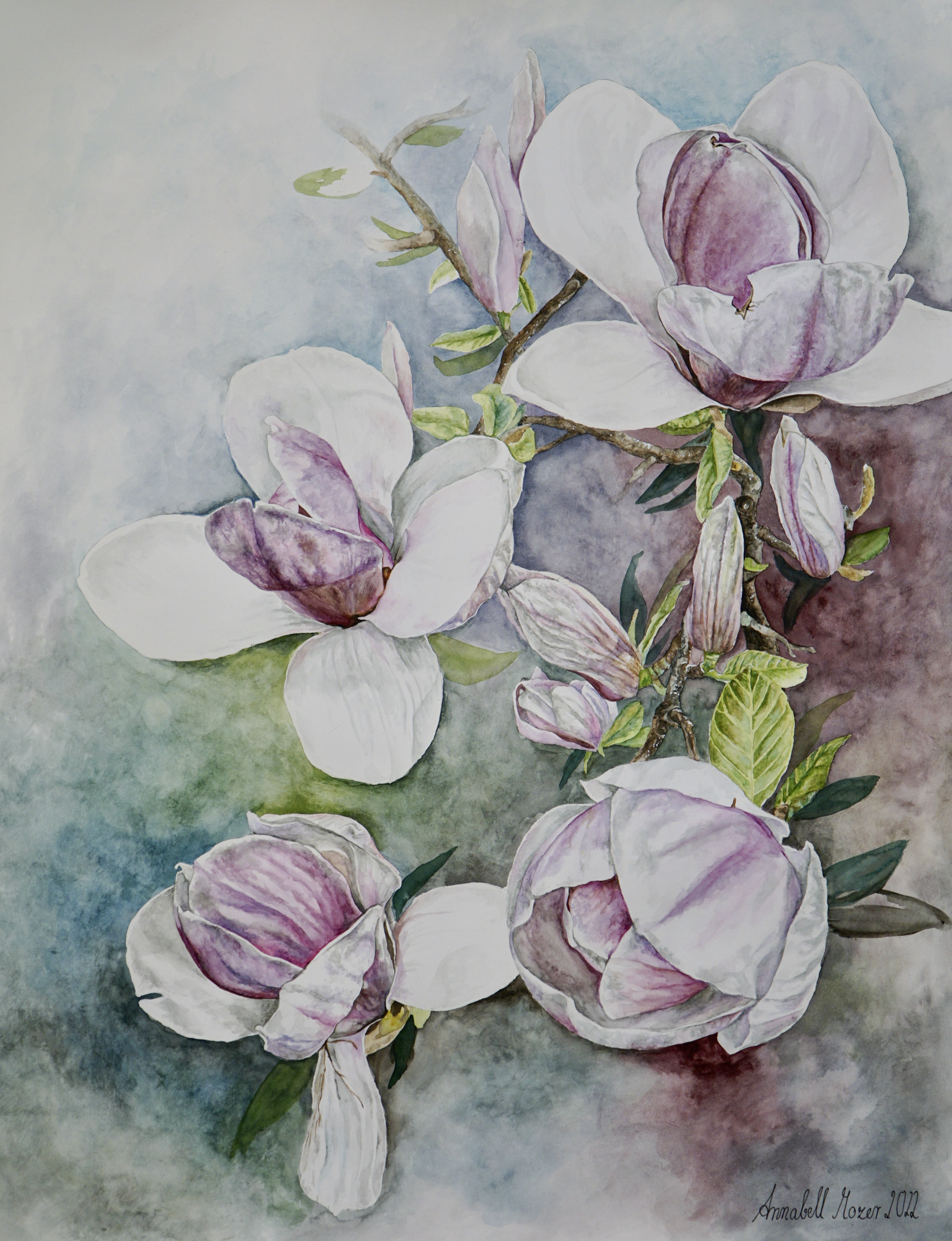 Annabell Mozer, Magnolie / magnolia Annabell Mozer, Magnolie / magnolia