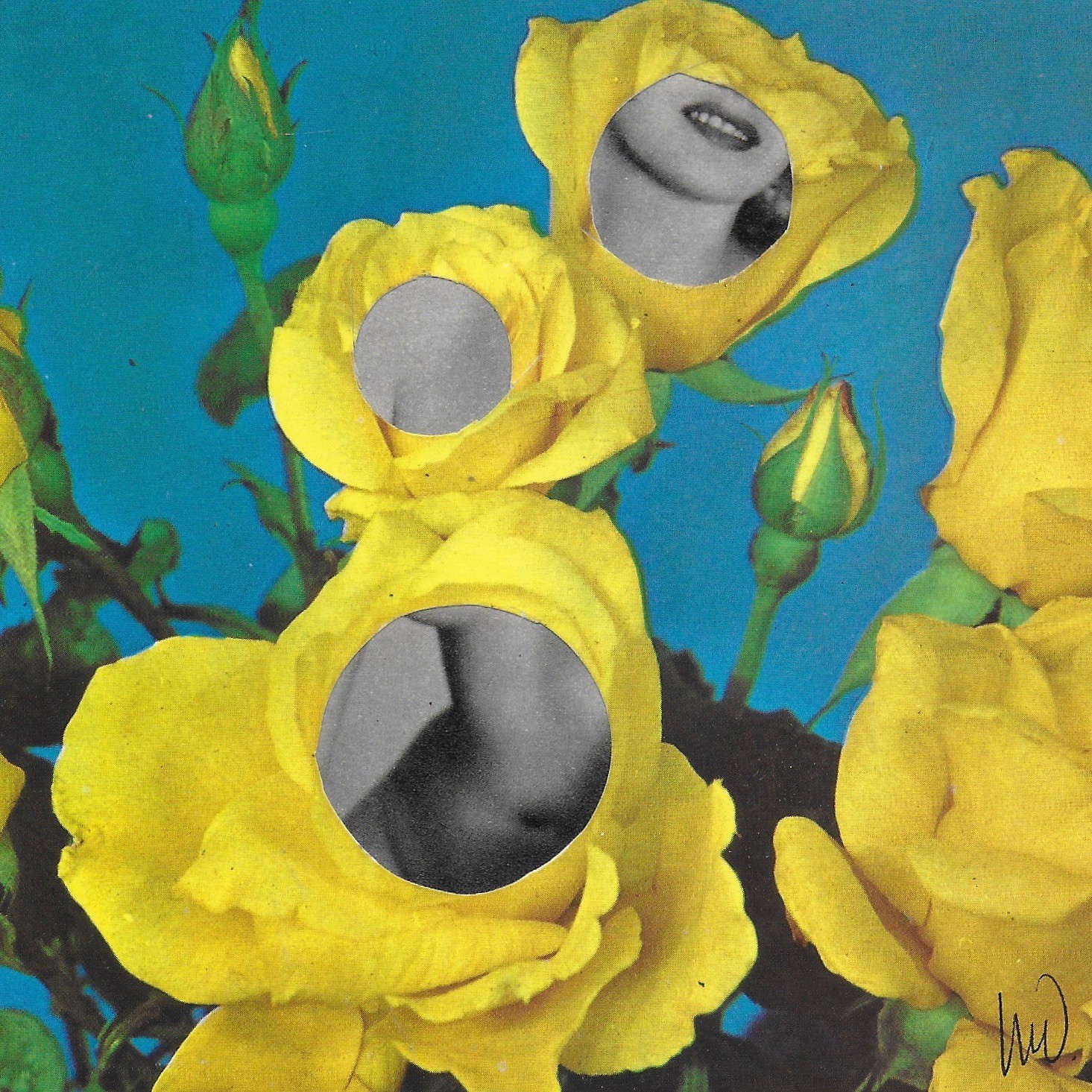 Marian Williams, Behind the Yellow Roses Marian Williams, Behind the Yellow Roses