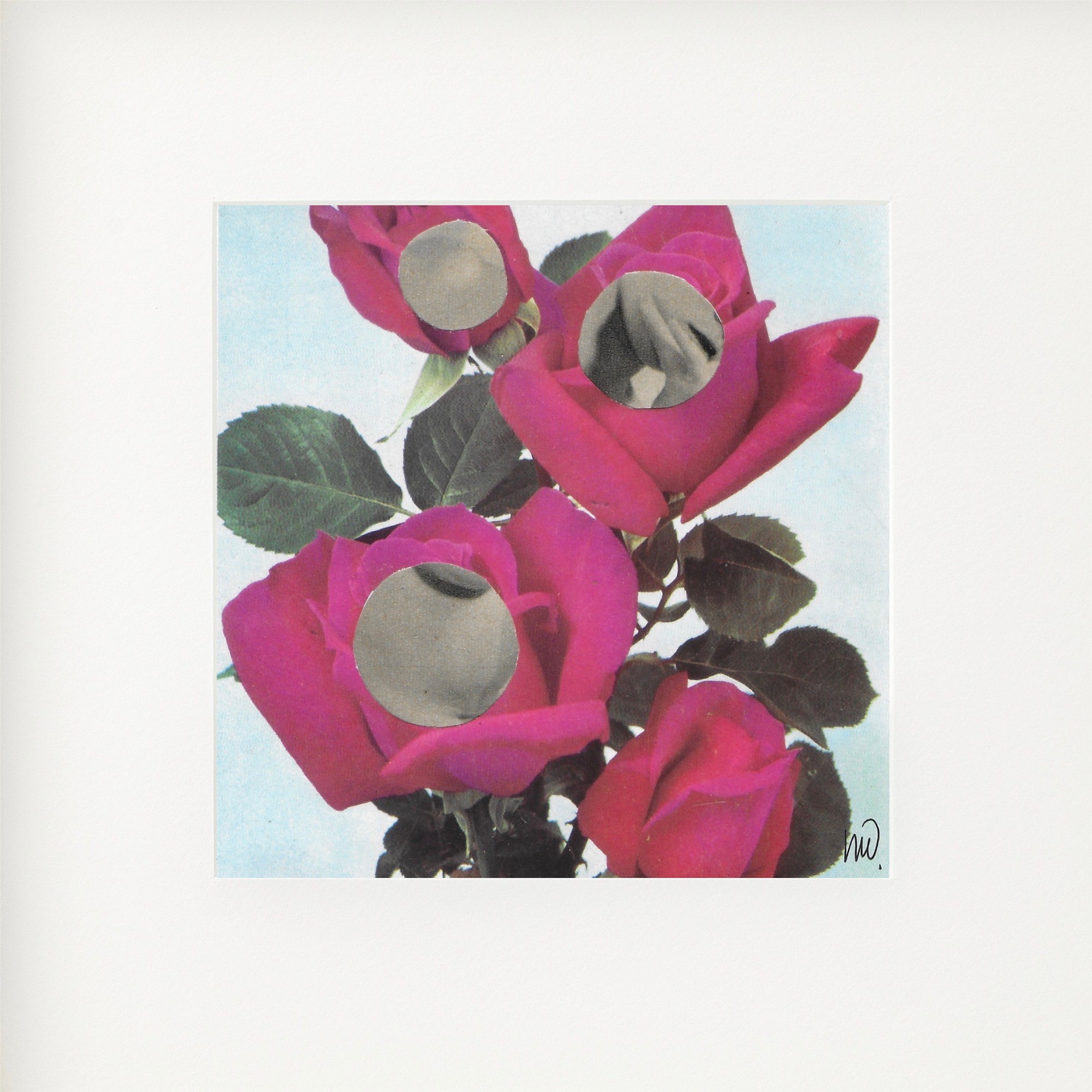 Marian Williams, Behind the Pink Roses Marian Williams, Behind the Pink Roses