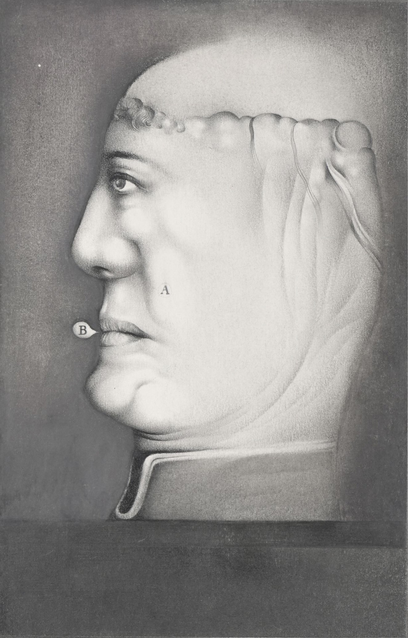 Georges Bru, Profil d'homme Georges Bru, Profil d'homme