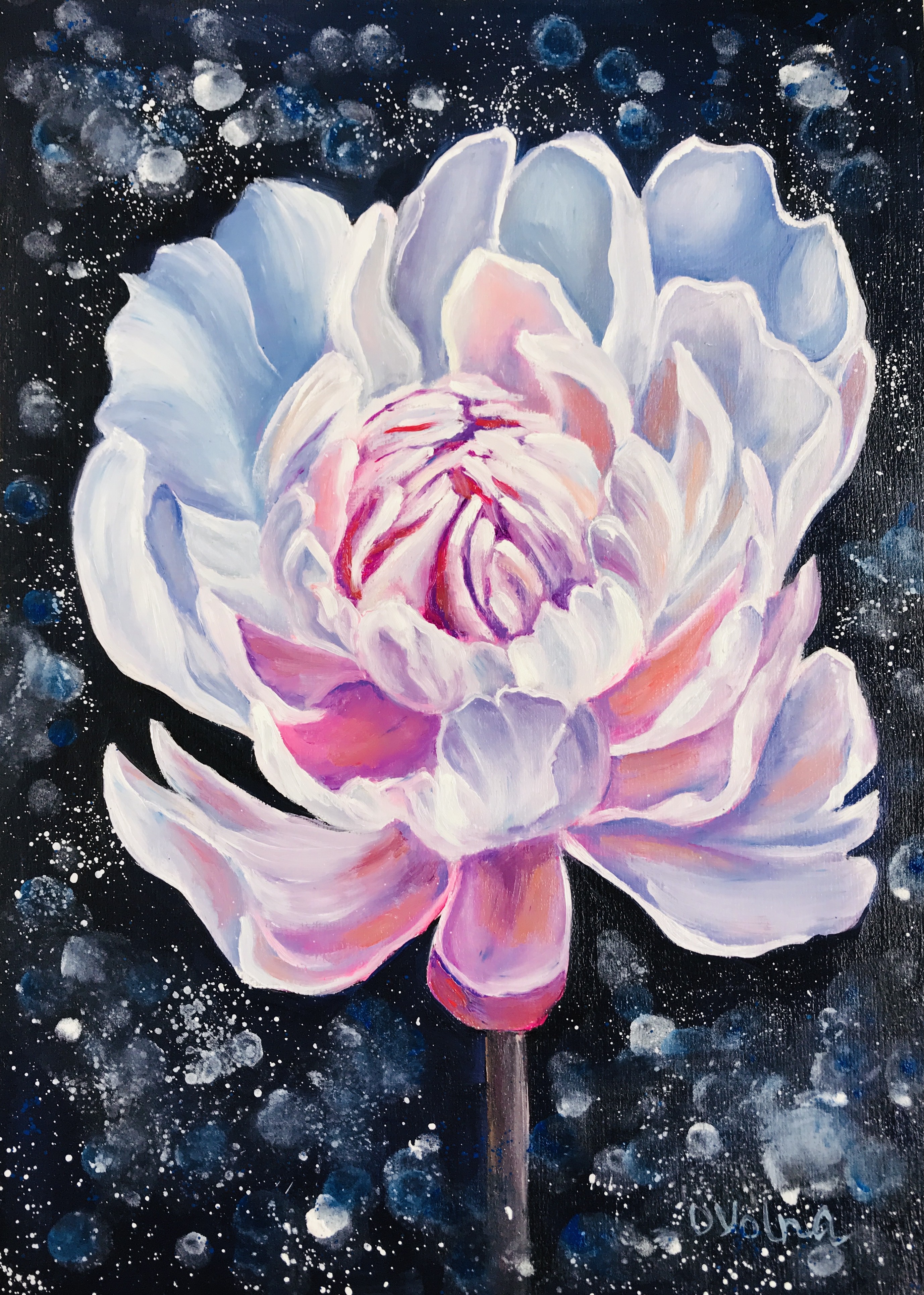Olga Volna, Magic peony Olga Volna, Magic peony