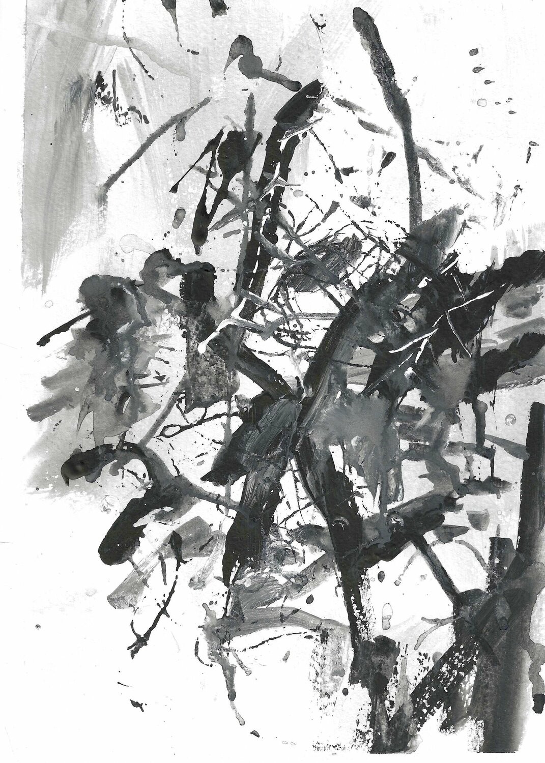 Nataliia Krykun, Black and white Nataliia Krykun, Black and white