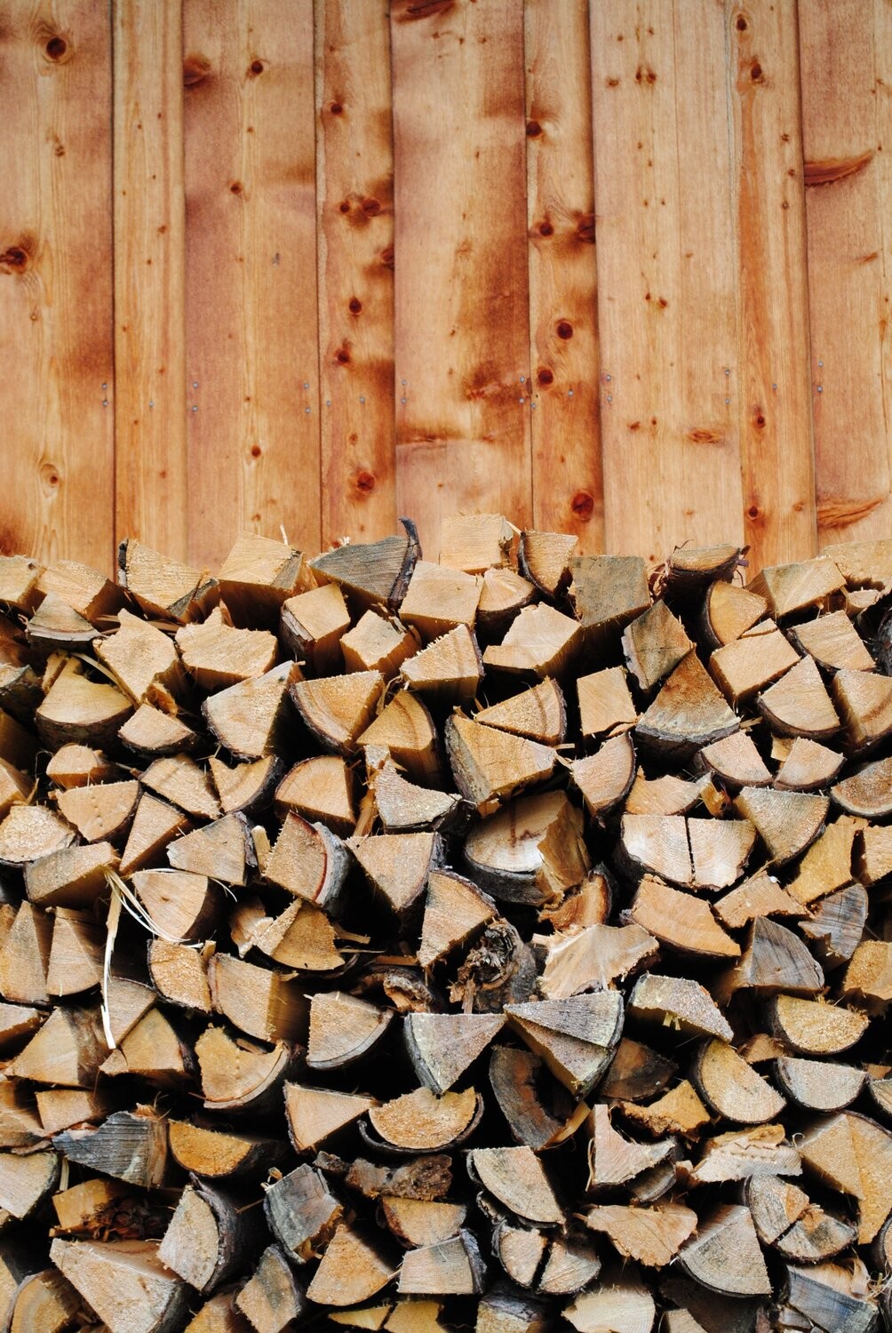 Dmytro Bilous, Wood Dmytro Bilous, Wood