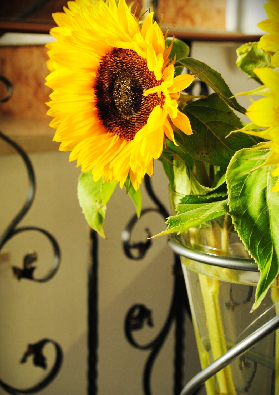 Dmytro Bilous, Sunflowers Dmytro Bilous, Sunflowers