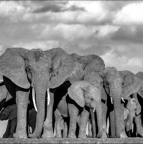 Photography, Band of love, Lars Beusker